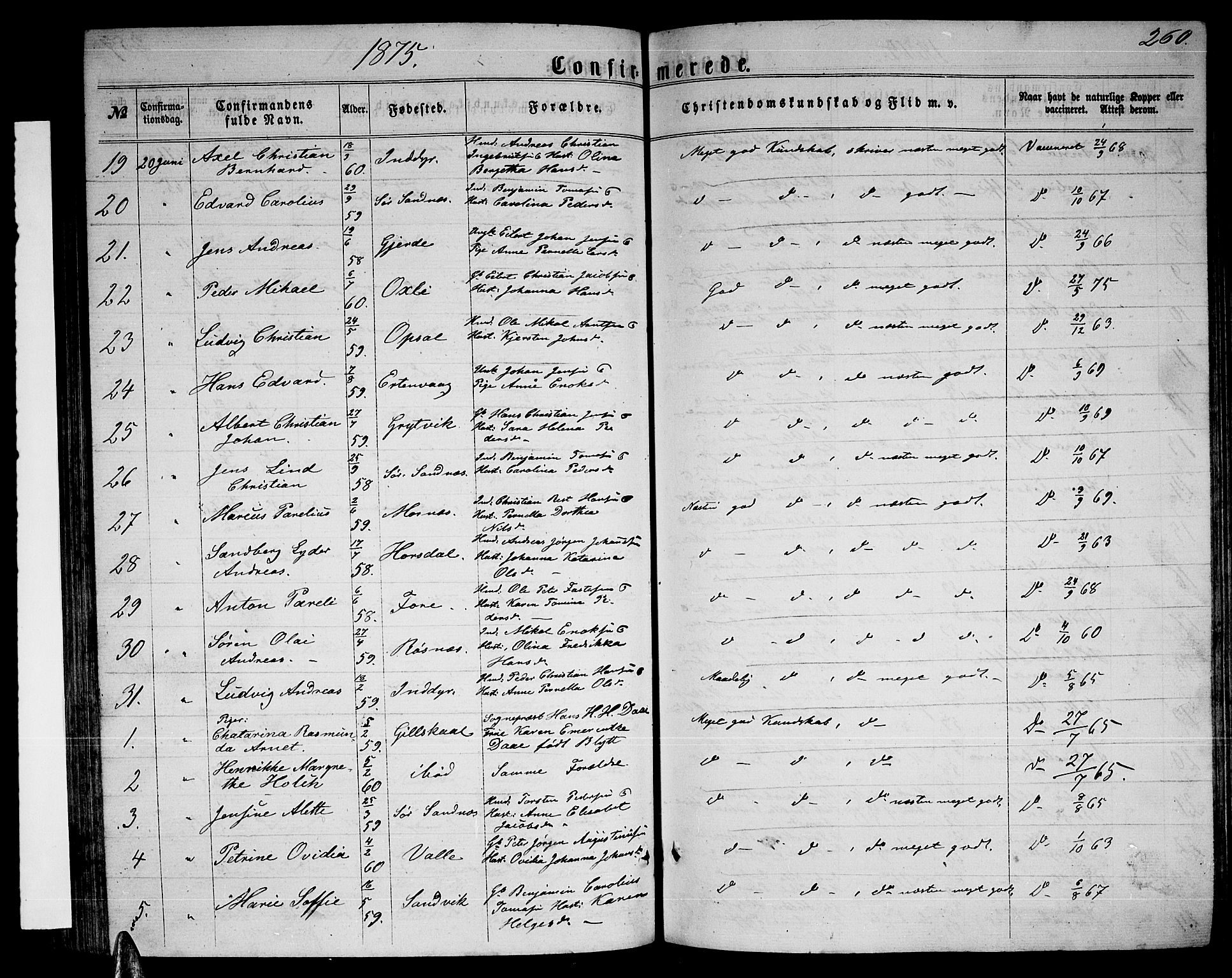 Ministerialprotokoller, klokkerbøker og fødselsregistre - Nordland, AV/SAT-A-1459/805/L0107: Klokkerbok nr. 805C03, 1862-1885, s. 260