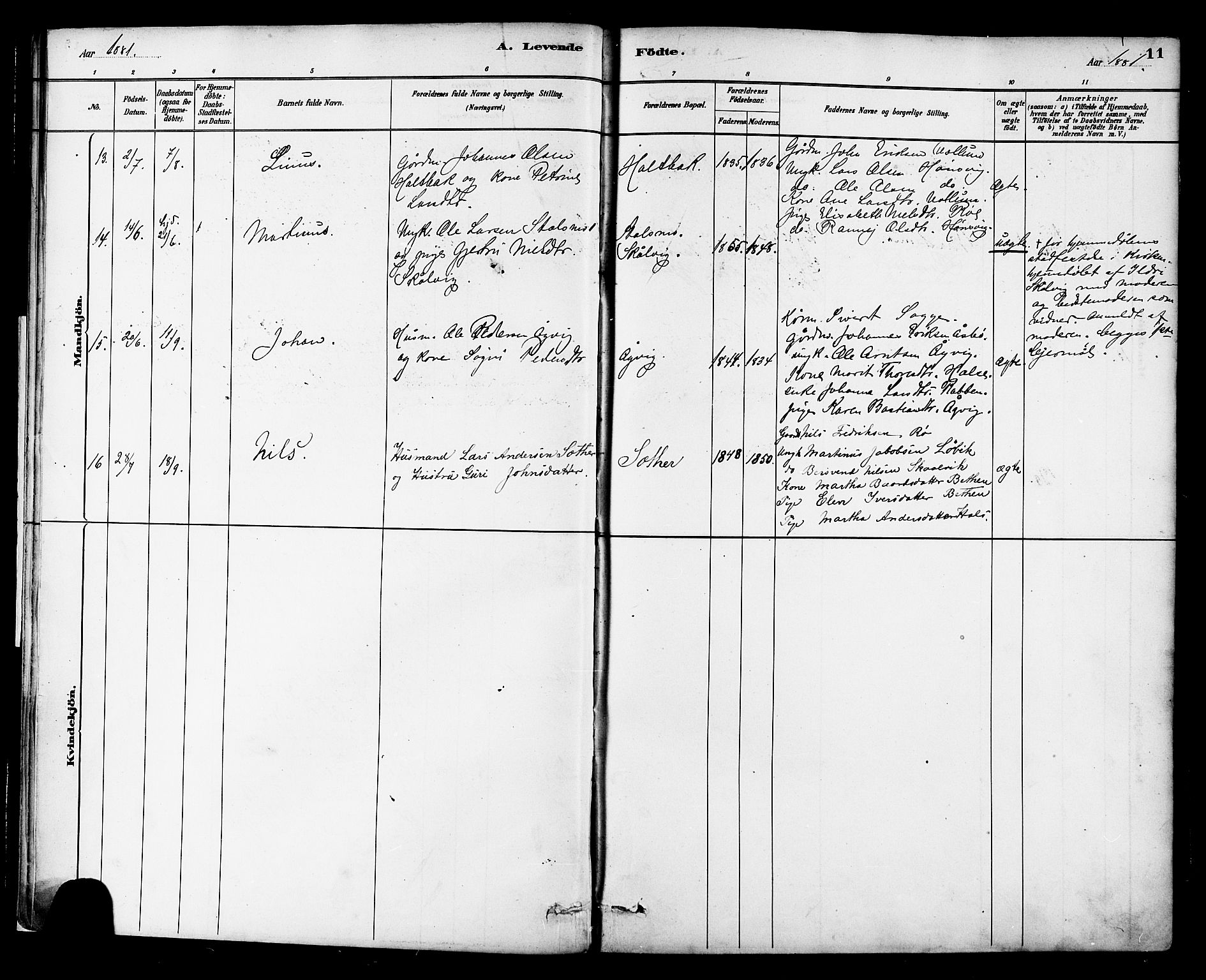 Ministerialprotokoller, klokkerbøker og fødselsregistre - Møre og Romsdal, AV/SAT-A-1454/576/L0885: Ministerialbok nr. 576A03, 1880-1898, s. 11