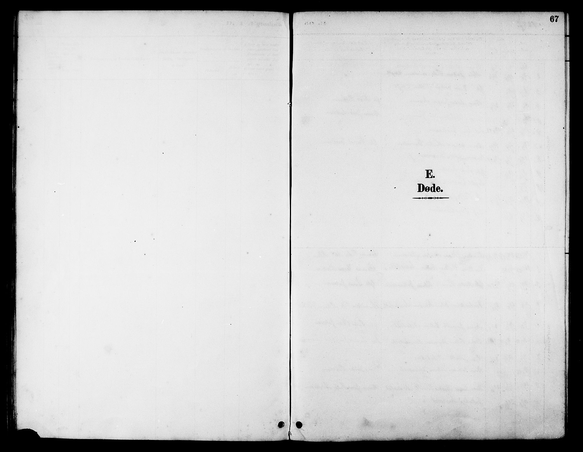 Ministerialprotokoller, klokkerbøker og fødselsregistre - Nordland, AV/SAT-A-1459/826/L0383: Klokkerbok nr. 826C03, 1887-1896, s. 67