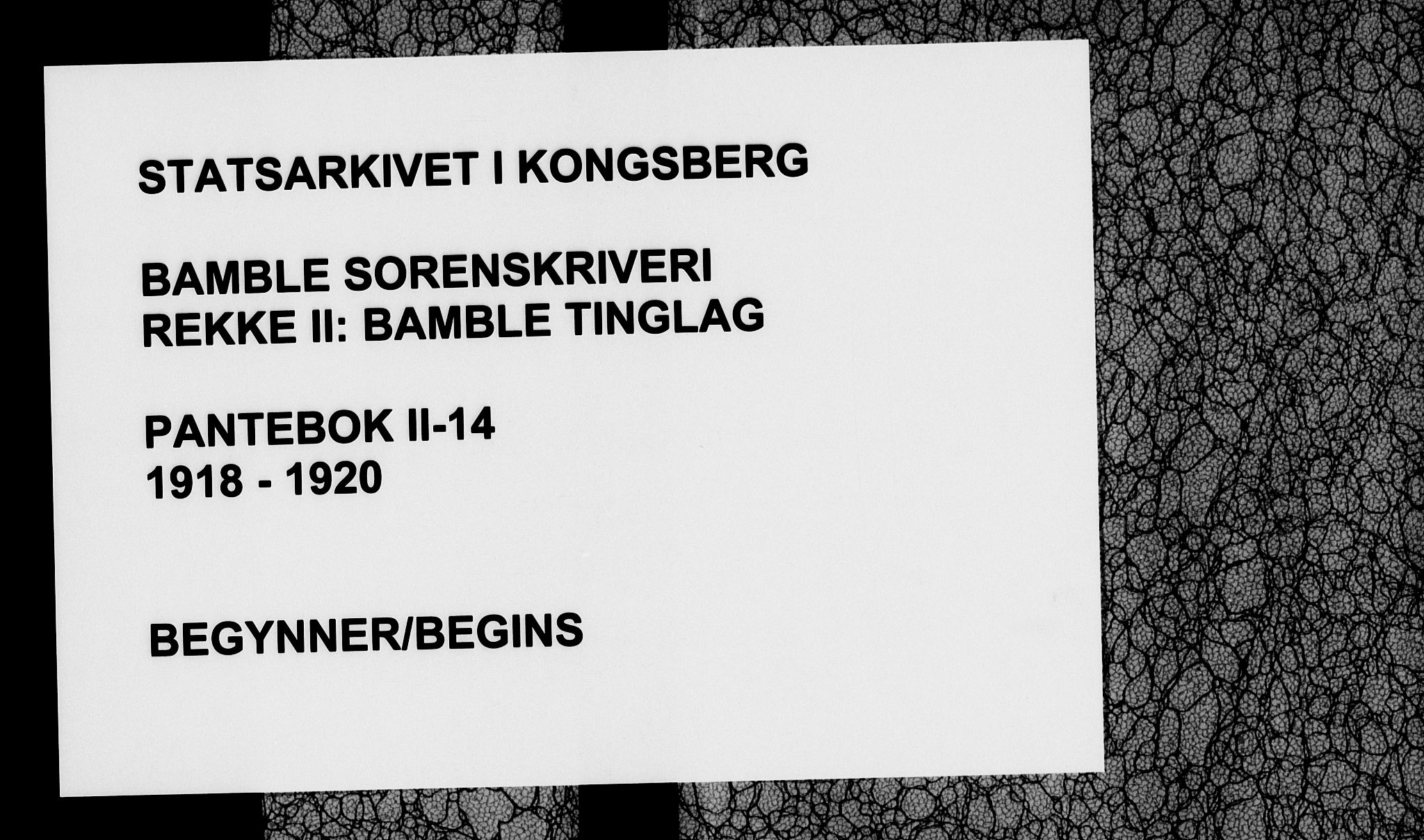 Bamble sorenskriveri, SAKO/A-214/G/Ga/Gab/L0014: Pantebok nr. II 14, 1918-1920