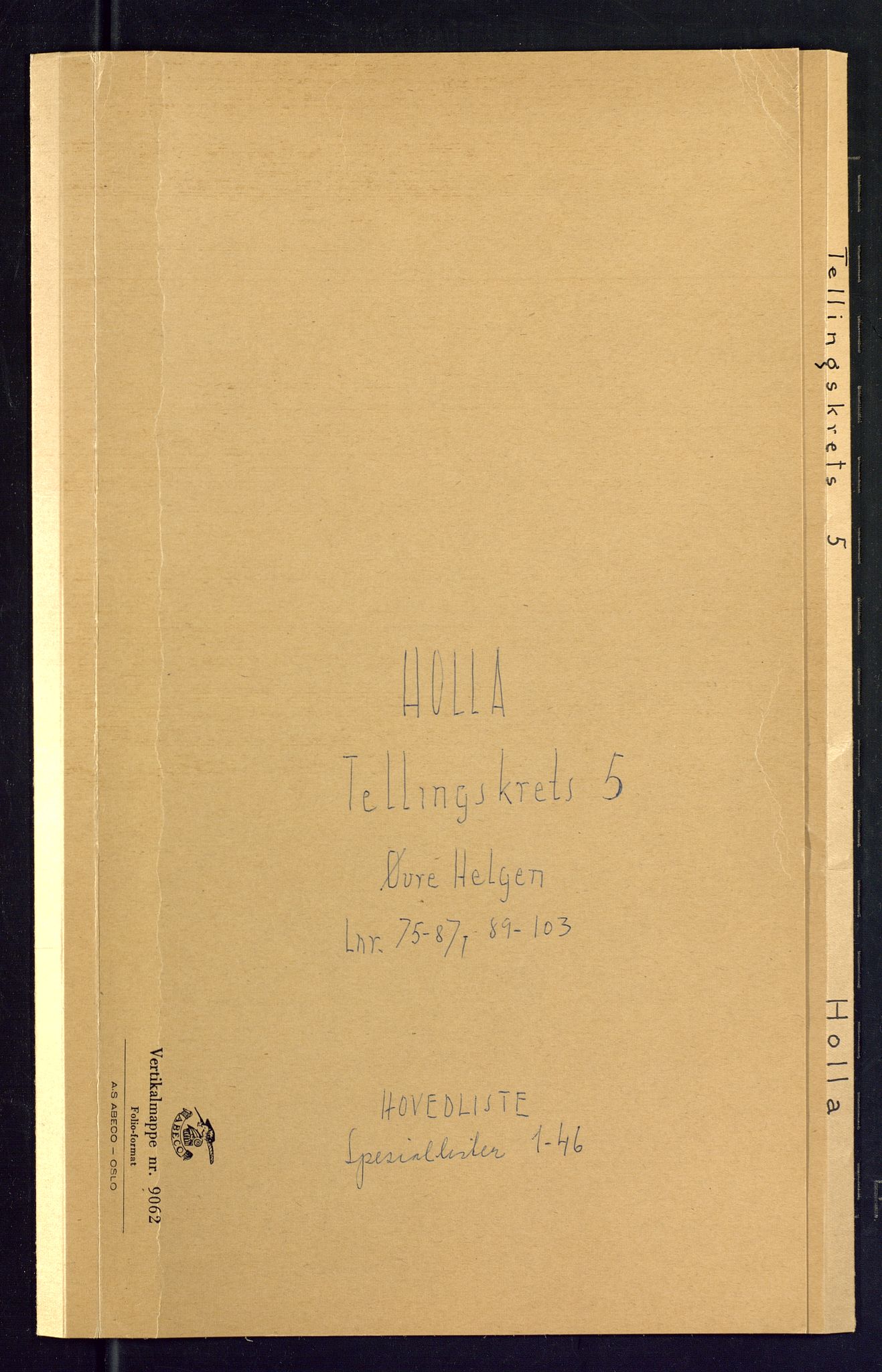 SAKO, Folketelling 1875 for 0819P Holla prestegjeld, 1875, s. 17