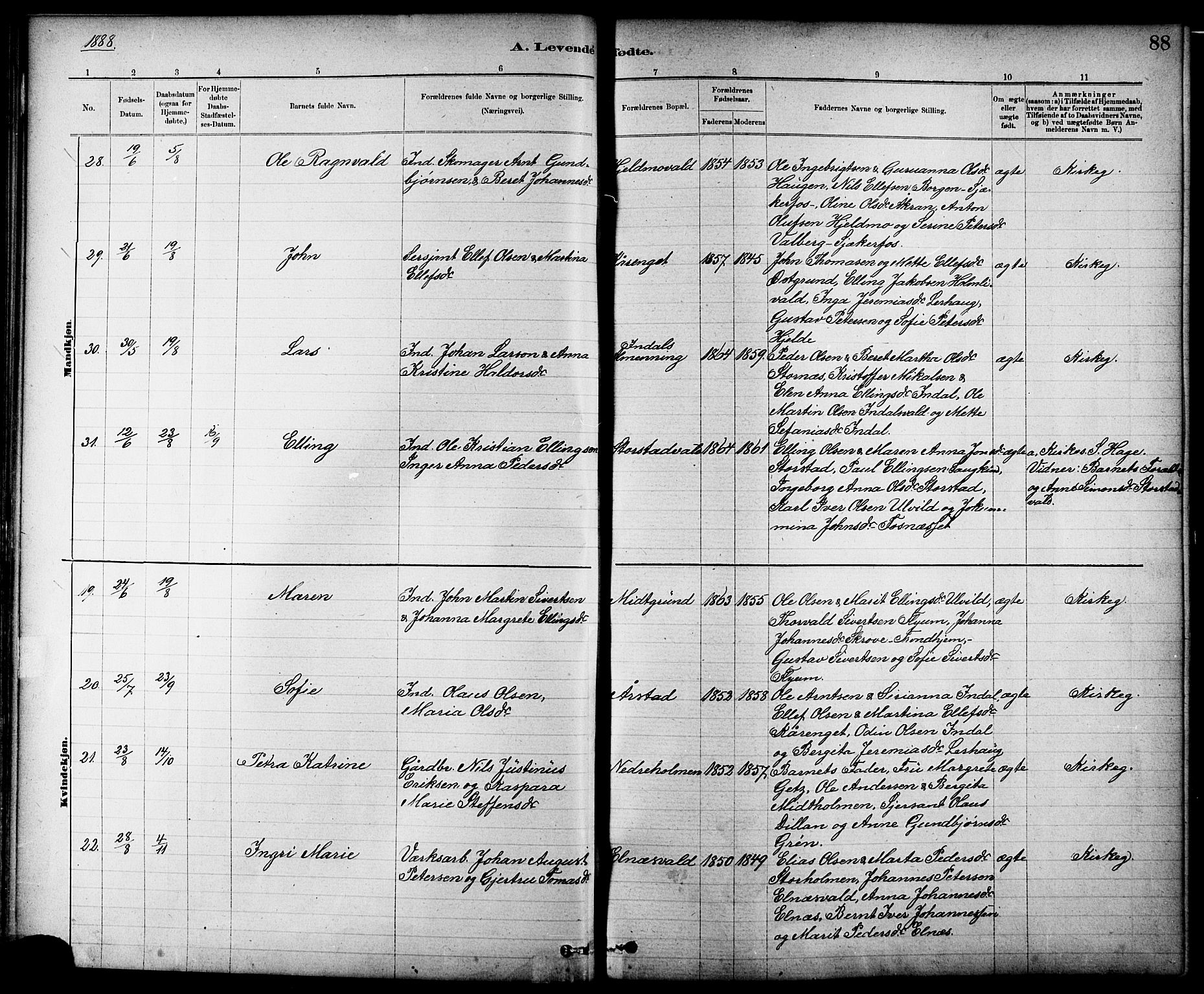 Ministerialprotokoller, klokkerbøker og fødselsregistre - Nord-Trøndelag, AV/SAT-A-1458/724/L0267: Klokkerbok nr. 724C03, 1879-1898, s. 88