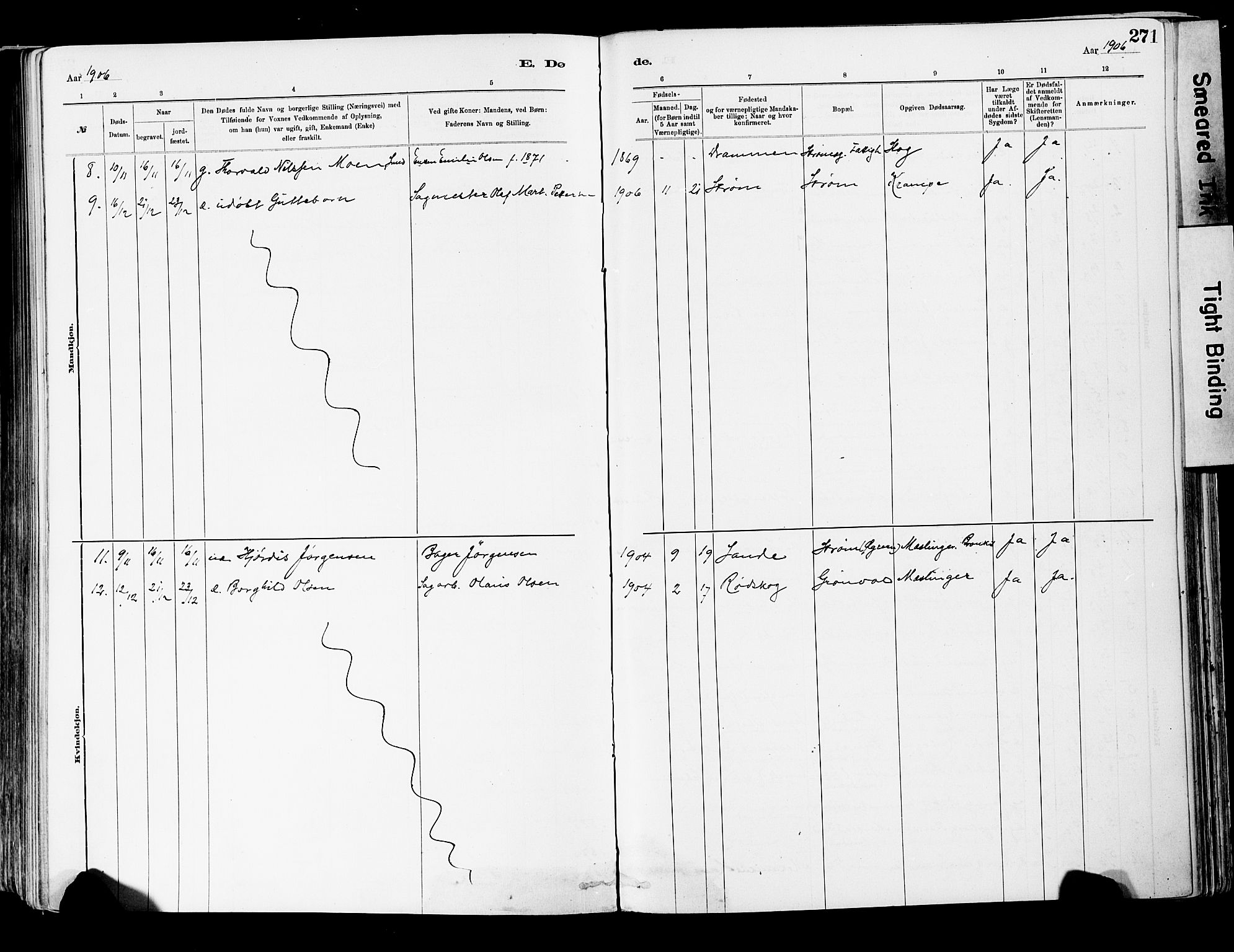 Strømsgodset kirkebøker, AV/SAKO-A-324/F/Fa/L0001: Ministerialbok nr. 1, 1885-1909, s. 271