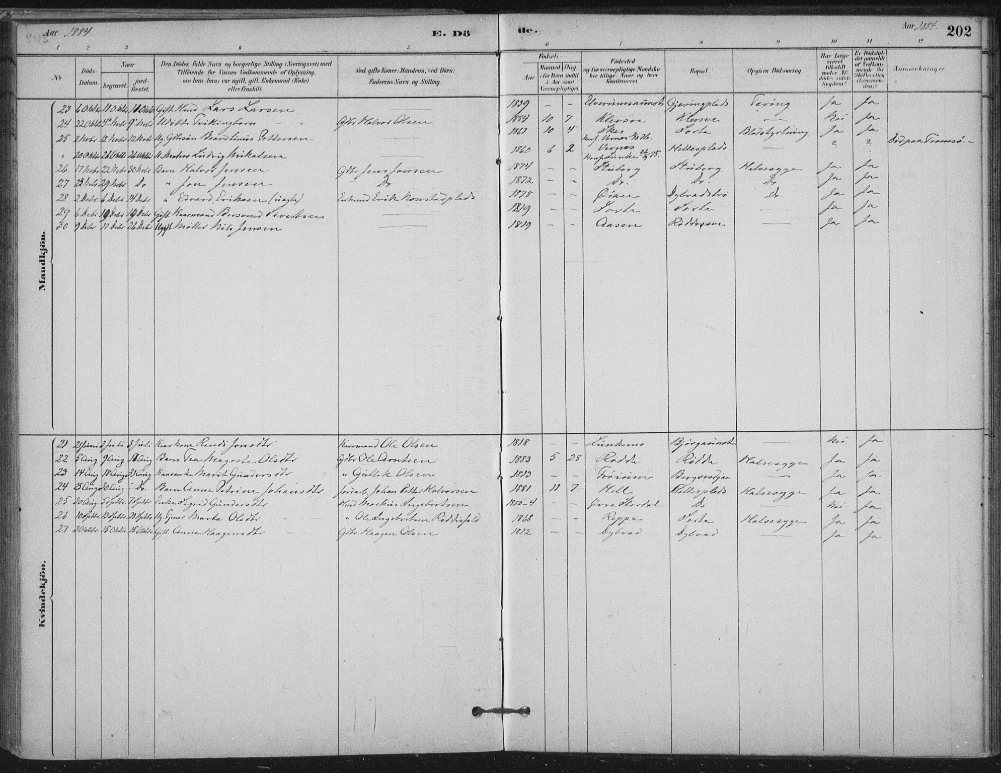 Ministerialprotokoller, klokkerbøker og fødselsregistre - Nord-Trøndelag, SAT/A-1458/710/L0095: Ministerialbok nr. 710A01, 1880-1914, s. 202