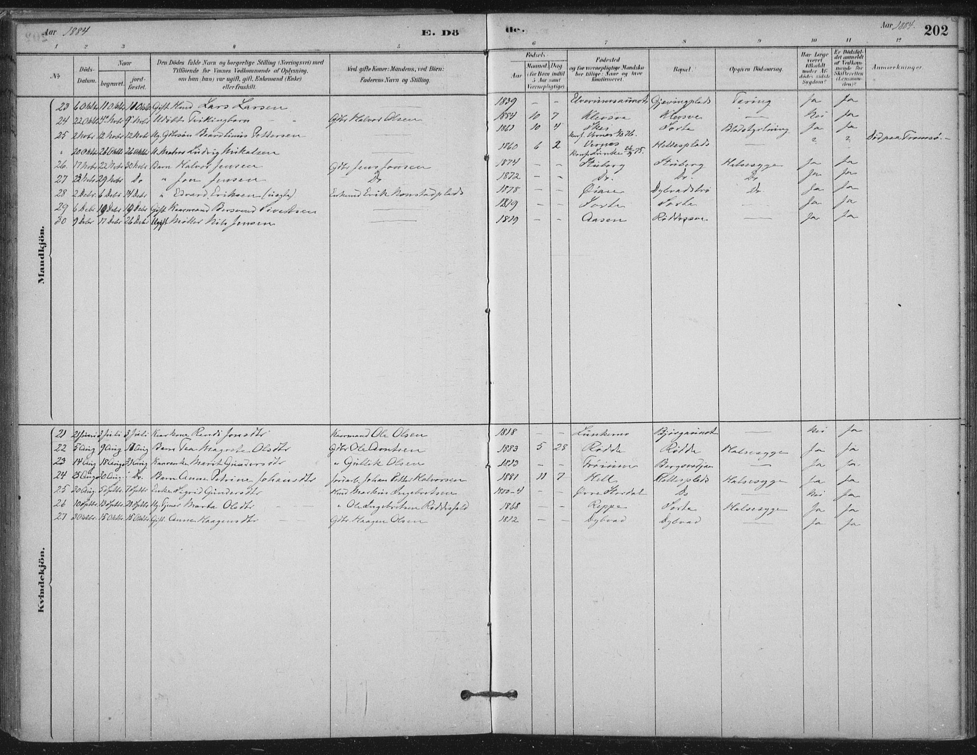 Ministerialprotokoller, klokkerbøker og fødselsregistre - Nord-Trøndelag, AV/SAT-A-1458/710/L0095: Ministerialbok nr. 710A01, 1880-1914, s. 202