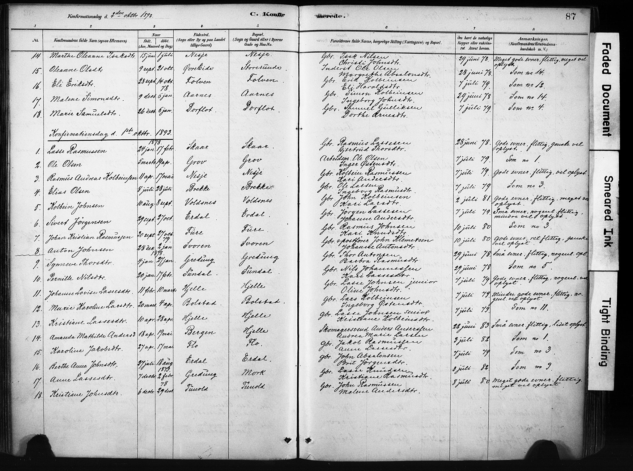 Stryn Sokneprestembete, AV/SAB-A-82501: Ministerialbok nr. D 1, 1878-1907, s. 87