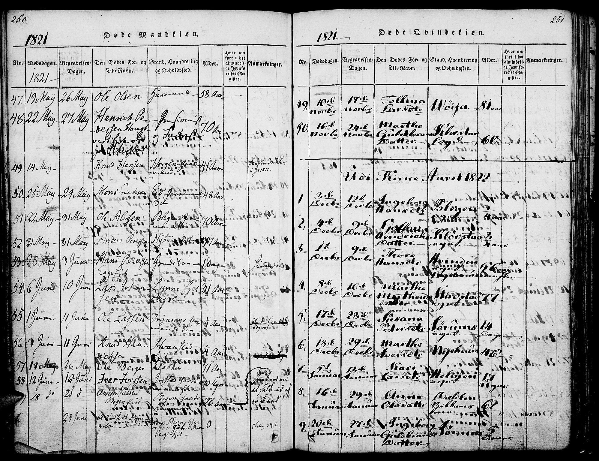 Gran prestekontor, AV/SAH-PREST-112/H/Ha/Haa/L0009: Ministerialbok nr. 9, 1815-1824, s. 250-251