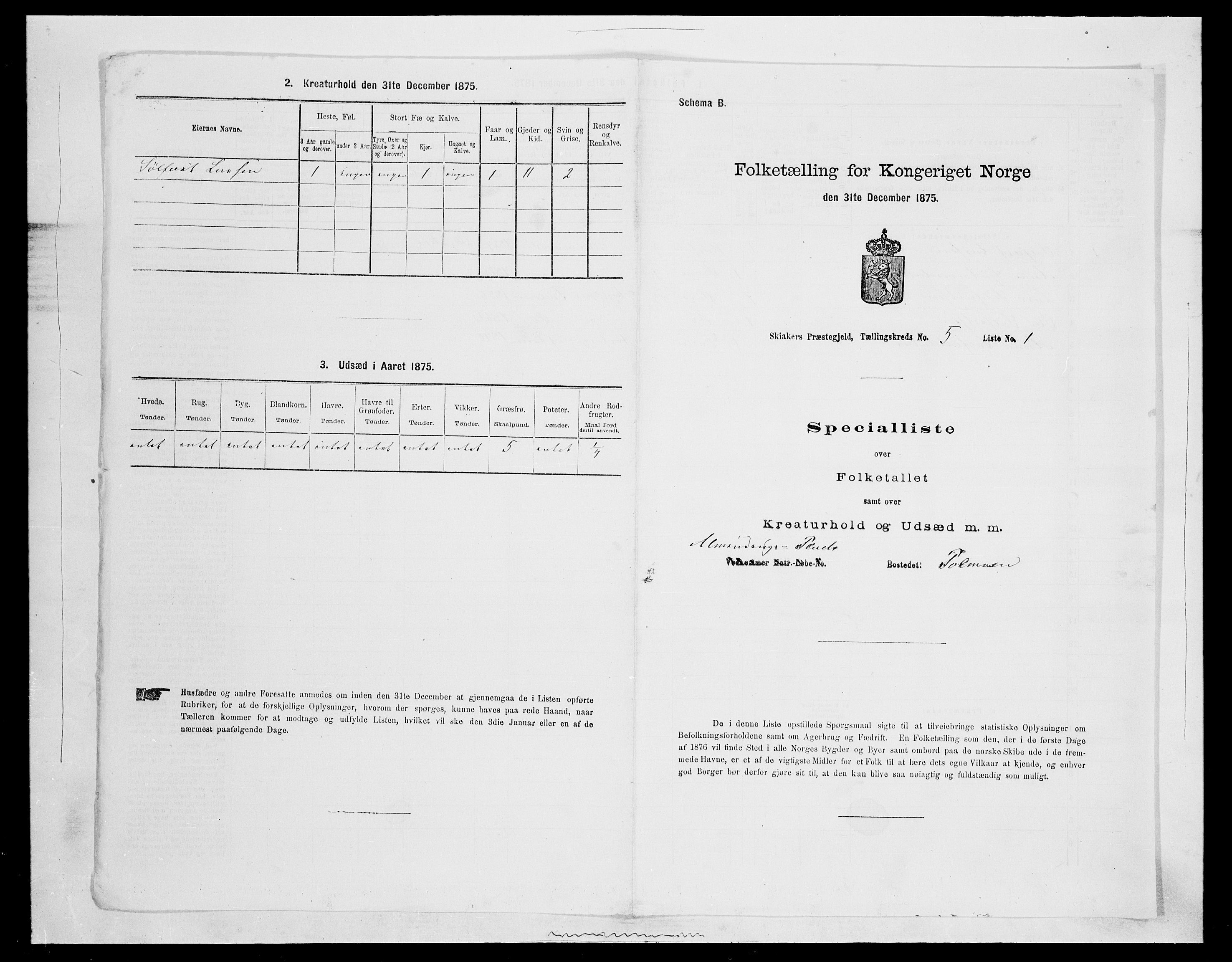 SAH, Folketelling 1875 for 0513P Skjåk prestegjeld, 1875, s. 715