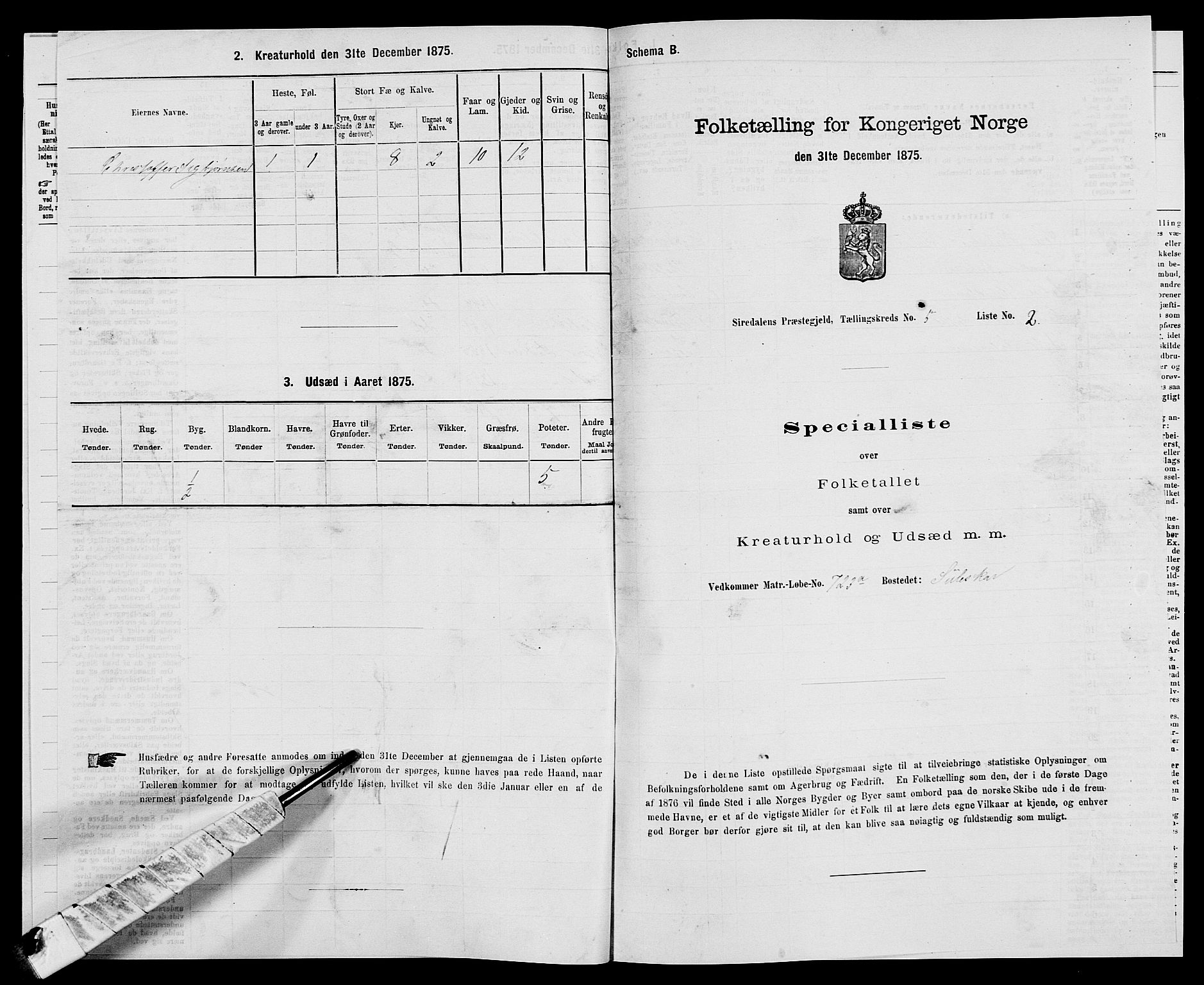 SAK, Folketelling 1875 for 1046P Sirdal prestegjeld, 1875, s. 409