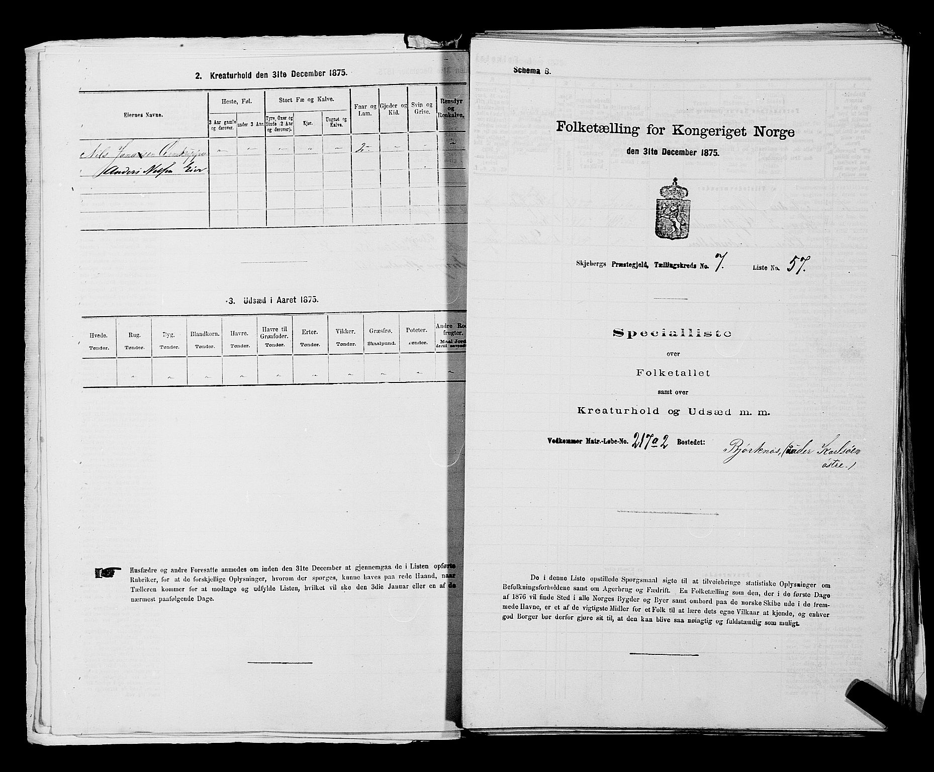 RA, Folketelling 1875 for 0115P Skjeberg prestegjeld, 1875, s. 1176