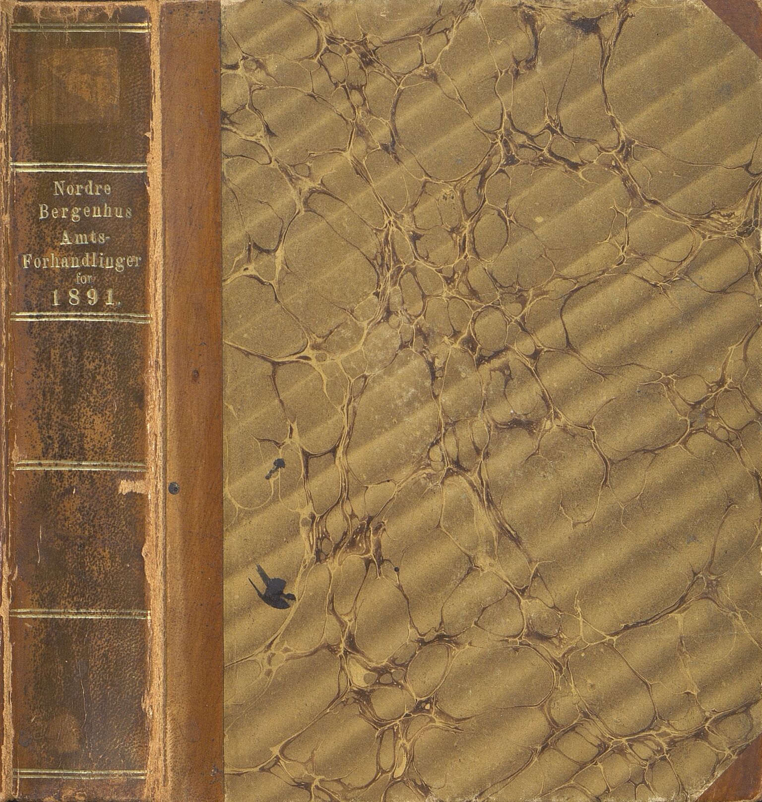 Sogn og Fjordane fylkeskommune. Fylkestinget, VLFK/FK-1096/A/Aa/Aaa/L0055: Fylkestingsforhandlingar for Sogn og Fjordane fylkeskommune, 1891