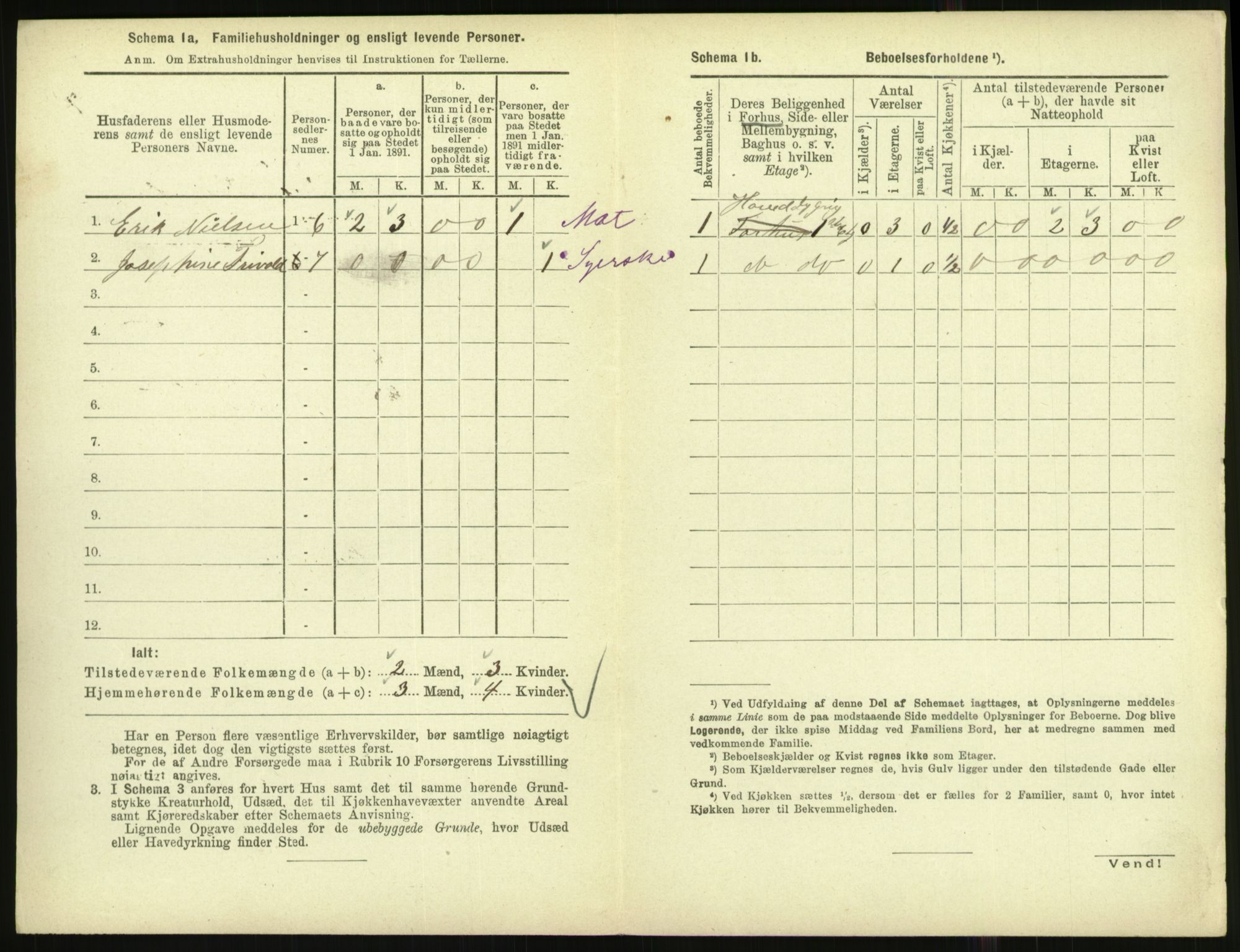 RA, Folketelling 1891 for 1002 Mandal ladested, 1891, s. 1156