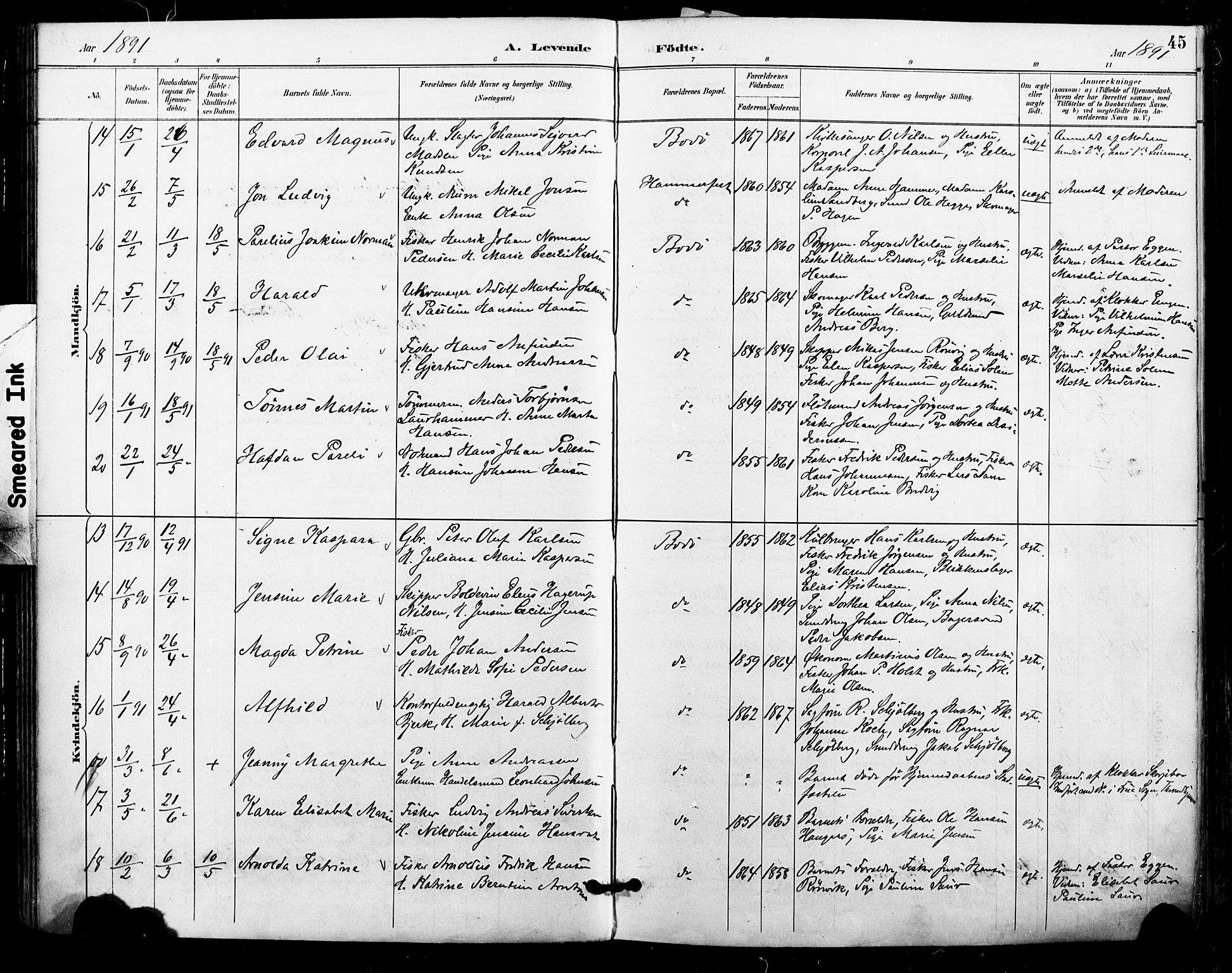 Ministerialprotokoller, klokkerbøker og fødselsregistre - Nordland, AV/SAT-A-1459/801/L0010: Ministerialbok nr. 801A10, 1888-1899, s. 45