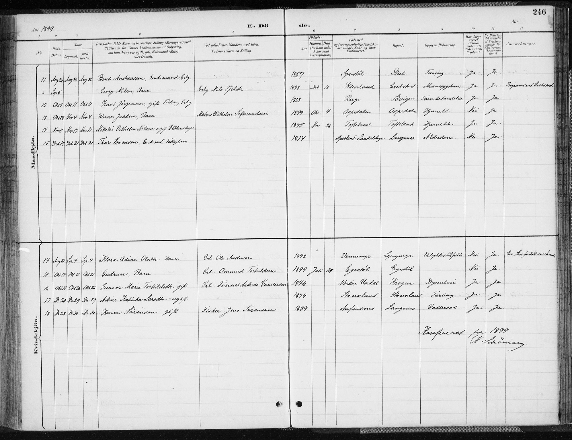 Søgne sokneprestkontor, AV/SAK-1111-0037/F/Fa/Fab/L0013: Ministerialbok nr. A 13, 1892-1911, s. 246