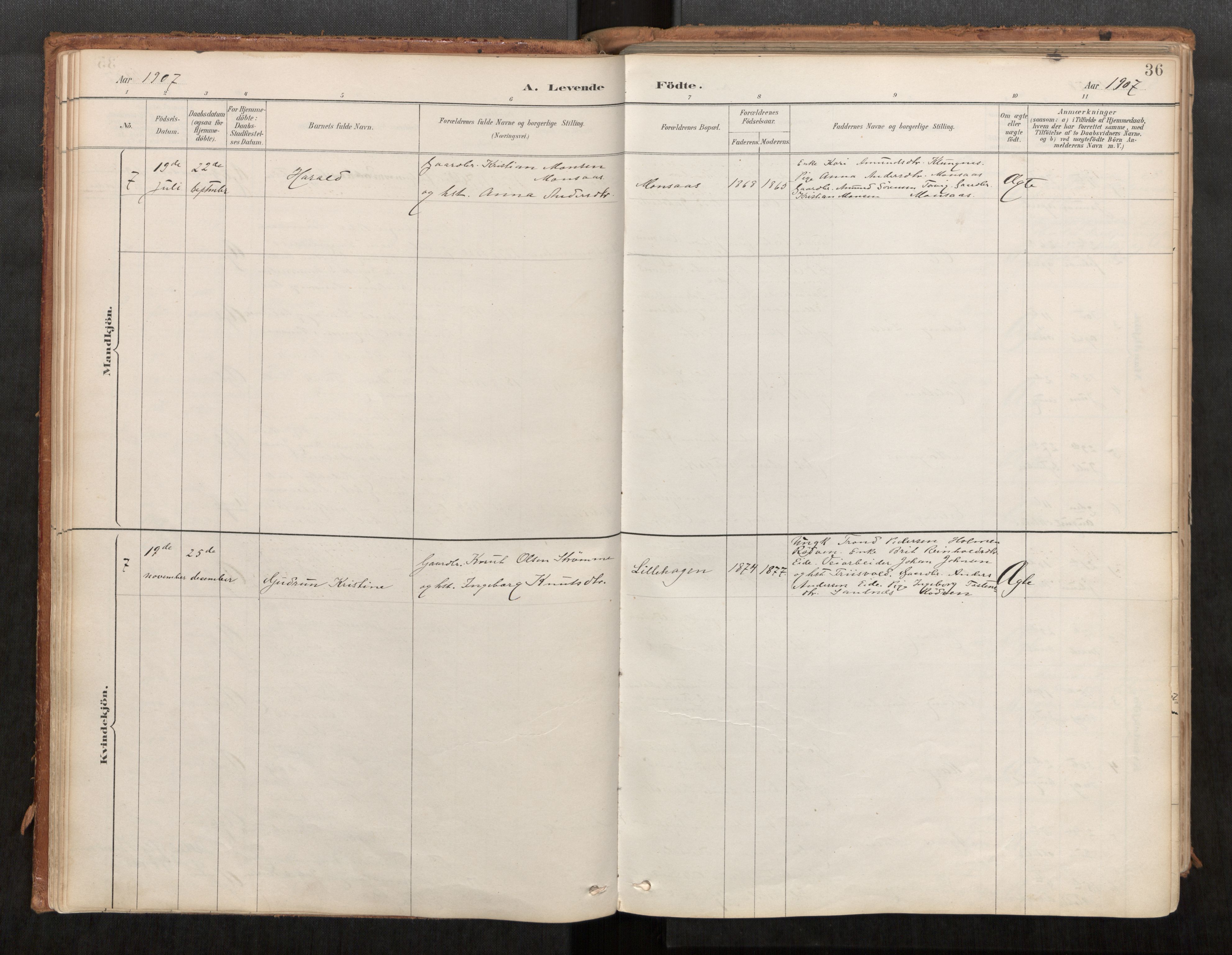 Ministerialprotokoller, klokkerbøker og fødselsregistre - Møre og Romsdal, AV/SAT-A-1454/542/L0553: Ministerialbok nr. 542A03, 1885-1925, s. 36
