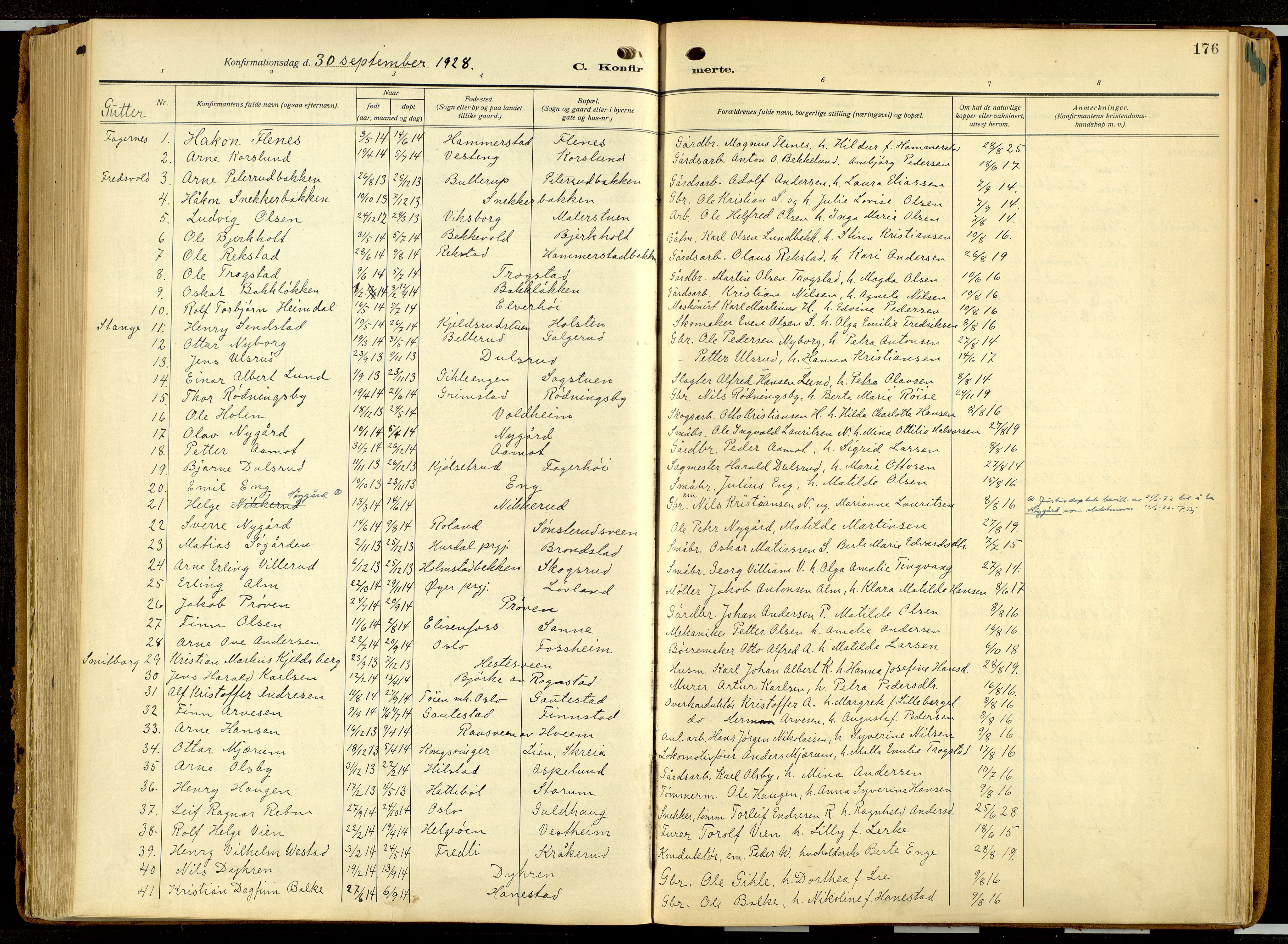 Balke prestekontor, AV/SAH-PREST-106/H/Ha/Haa/L0001: Ministerialbok nr. 1, 1914-1932, s. 176