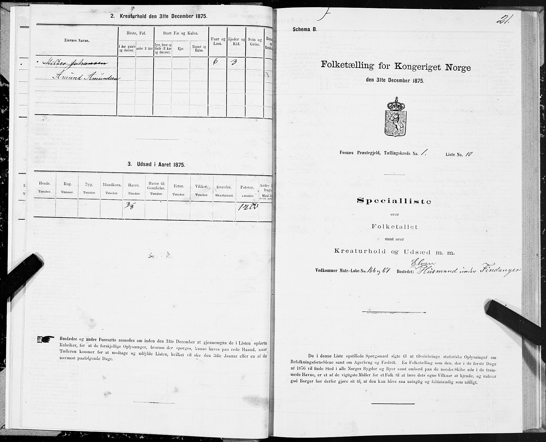SAT, Folketelling 1875 for 1748P Fosnes prestegjeld, 1875, s. 1021