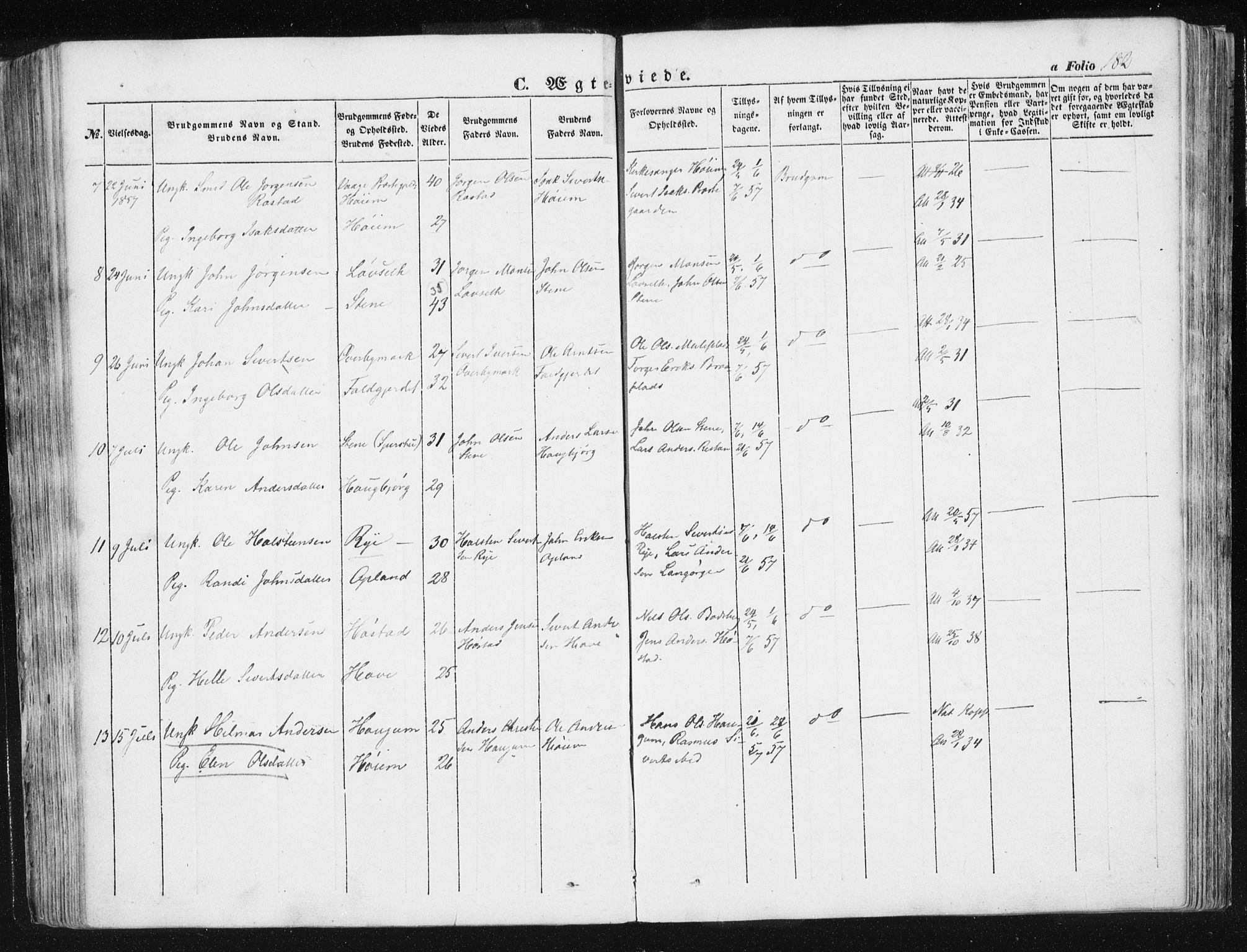 Ministerialprotokoller, klokkerbøker og fødselsregistre - Sør-Trøndelag, AV/SAT-A-1456/612/L0376: Ministerialbok nr. 612A08, 1846-1859, s. 182