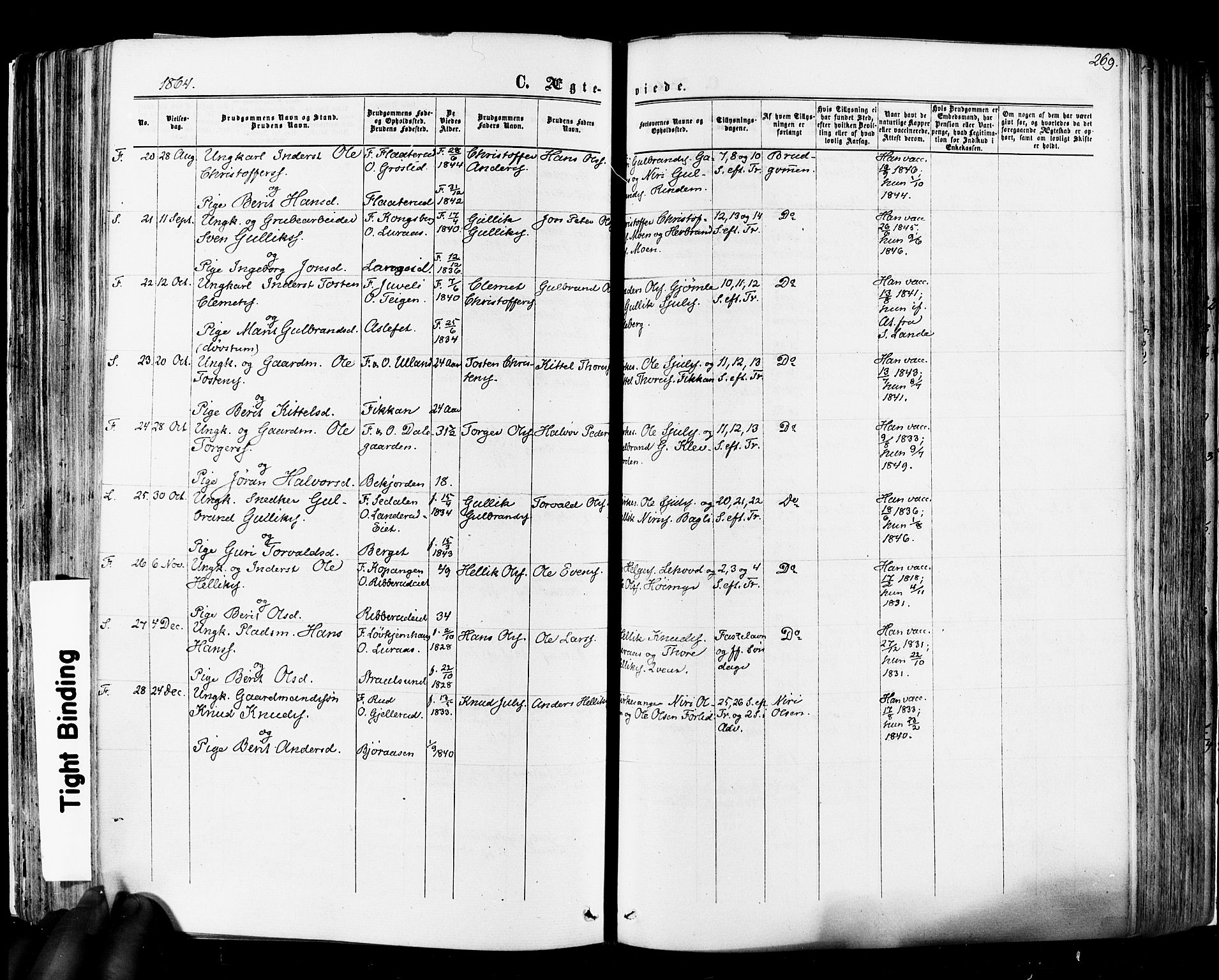 Flesberg kirkebøker, AV/SAKO-A-18/F/Fa/L0007: Ministerialbok nr. I 7, 1861-1878, s. 269