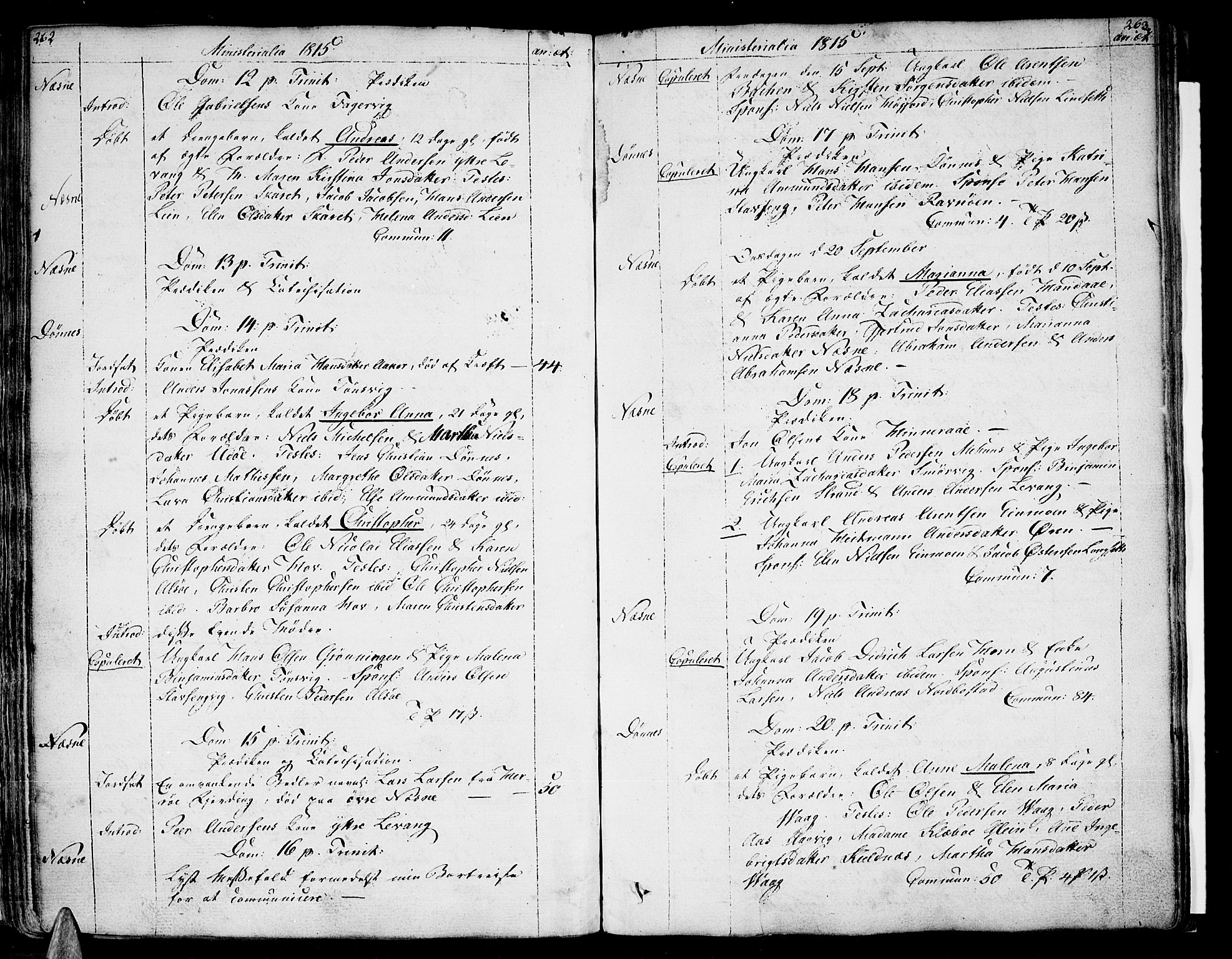 Ministerialprotokoller, klokkerbøker og fødselsregistre - Nordland, AV/SAT-A-1459/838/L0545: Ministerialbok nr. 838A04, 1791-1820, s. 262-263