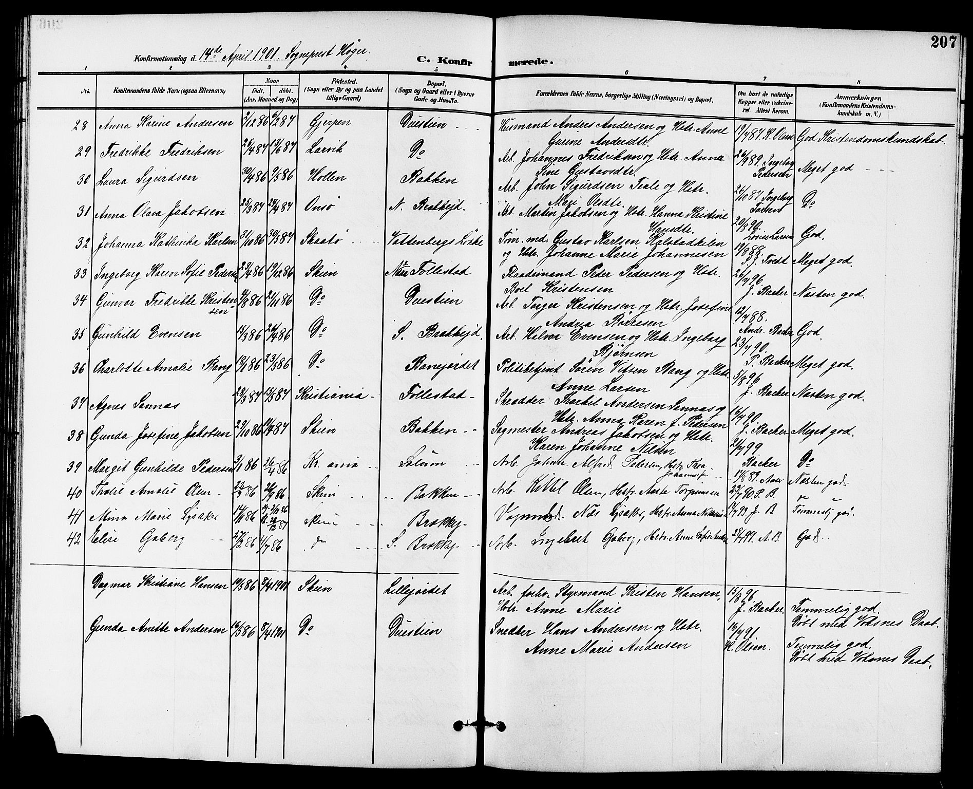Skien kirkebøker, AV/SAKO-A-302/G/Ga/L0008: Klokkerbok nr. 8, 1900-1910, s. 207
