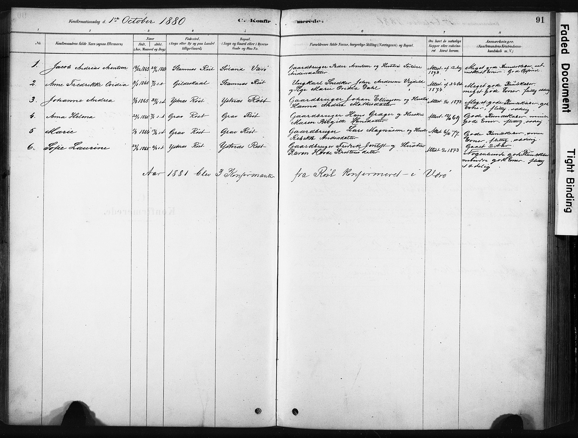 Ministerialprotokoller, klokkerbøker og fødselsregistre - Nordland, AV/SAT-A-1459/808/L0128: Ministerialbok nr. 808A01, 1880-1902, s. 91