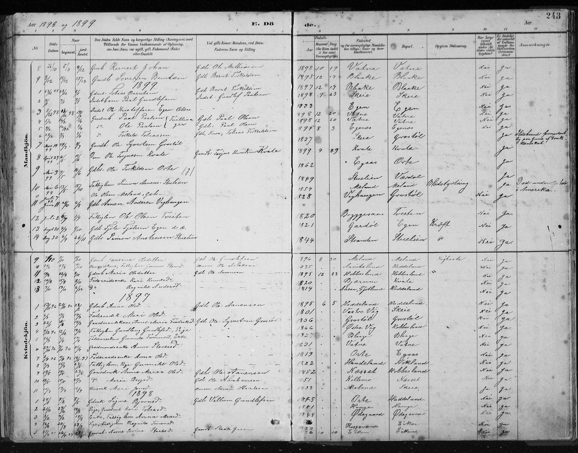 Hægebostad sokneprestkontor, AV/SAK-1111-0024/F/Fb/Fbb/L0003: Klokkerbok nr. B 3, 1887-1937, s. 243
