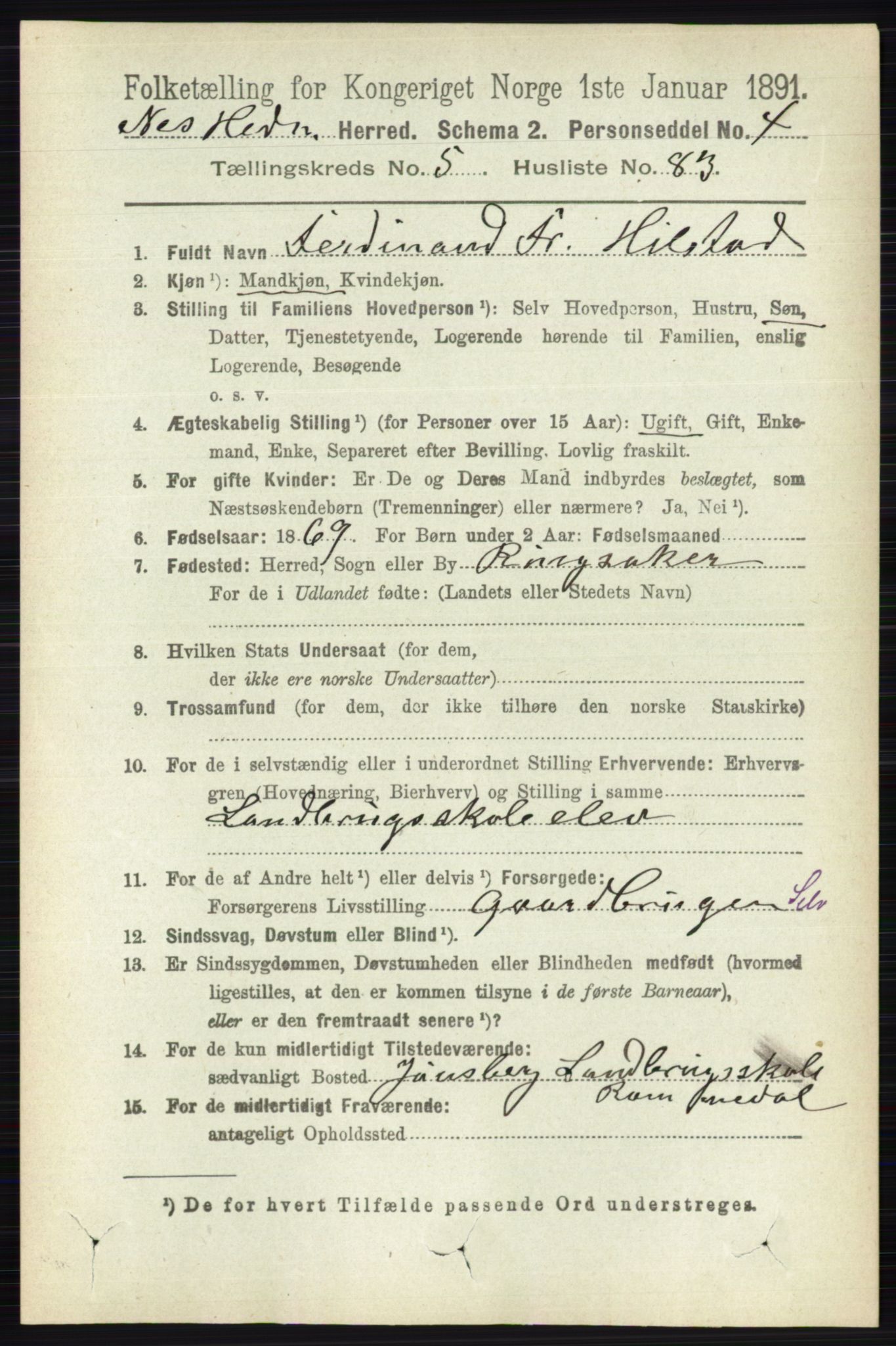 RA, Folketelling 1891 for 0411 Nes herred, 1891, s. 3142