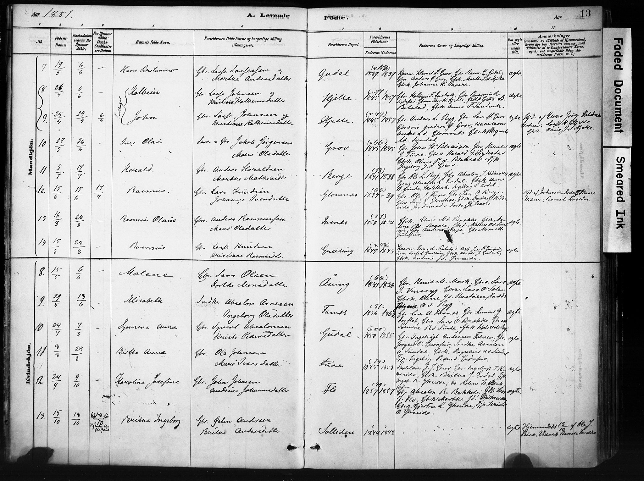 Stryn Sokneprestembete, AV/SAB-A-82501: Ministerialbok nr. D 1, 1878-1907, s. 13