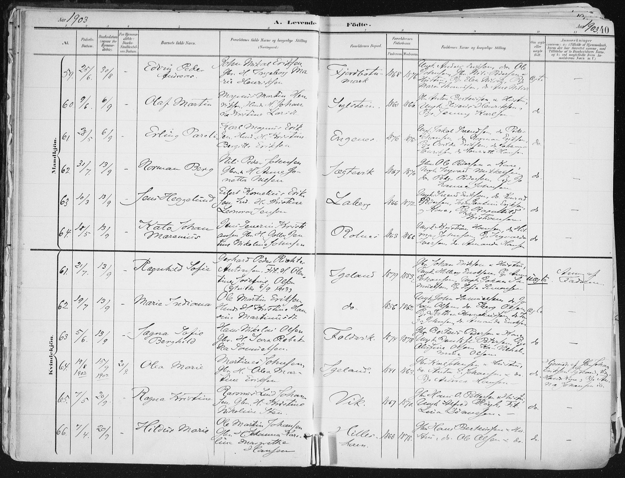 Ibestad sokneprestembete, AV/SATØ-S-0077/H/Ha/Haa/L0017kirke: Ministerialbok nr. 17, 1901-1914, s. 40