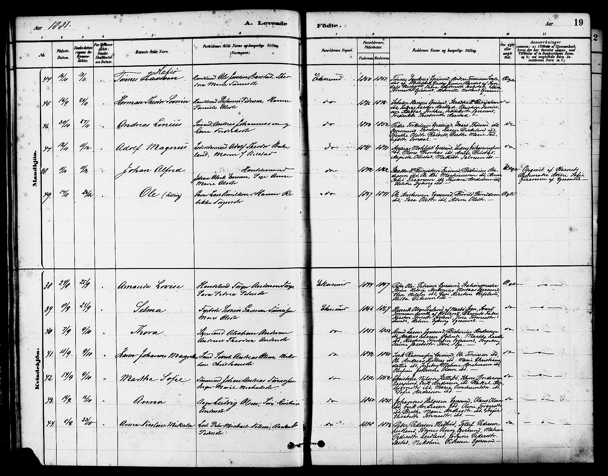 Eigersund sokneprestkontor, AV/SAST-A-101807/S08/L0015: Ministerialbok nr. A 15, 1879-1892, s. 19