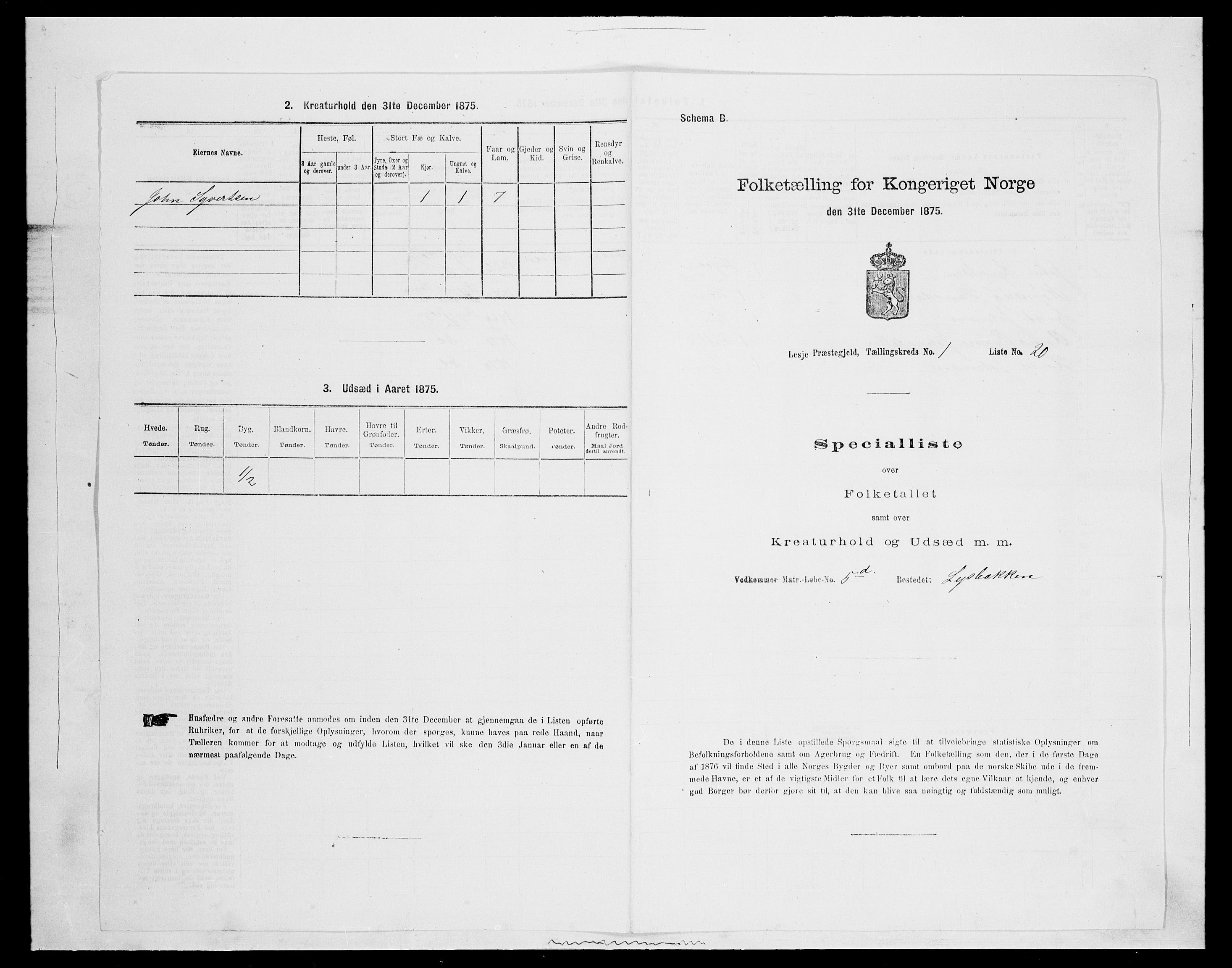 SAH, Folketelling 1875 for 0512P Lesja prestegjeld, 1875, s. 122