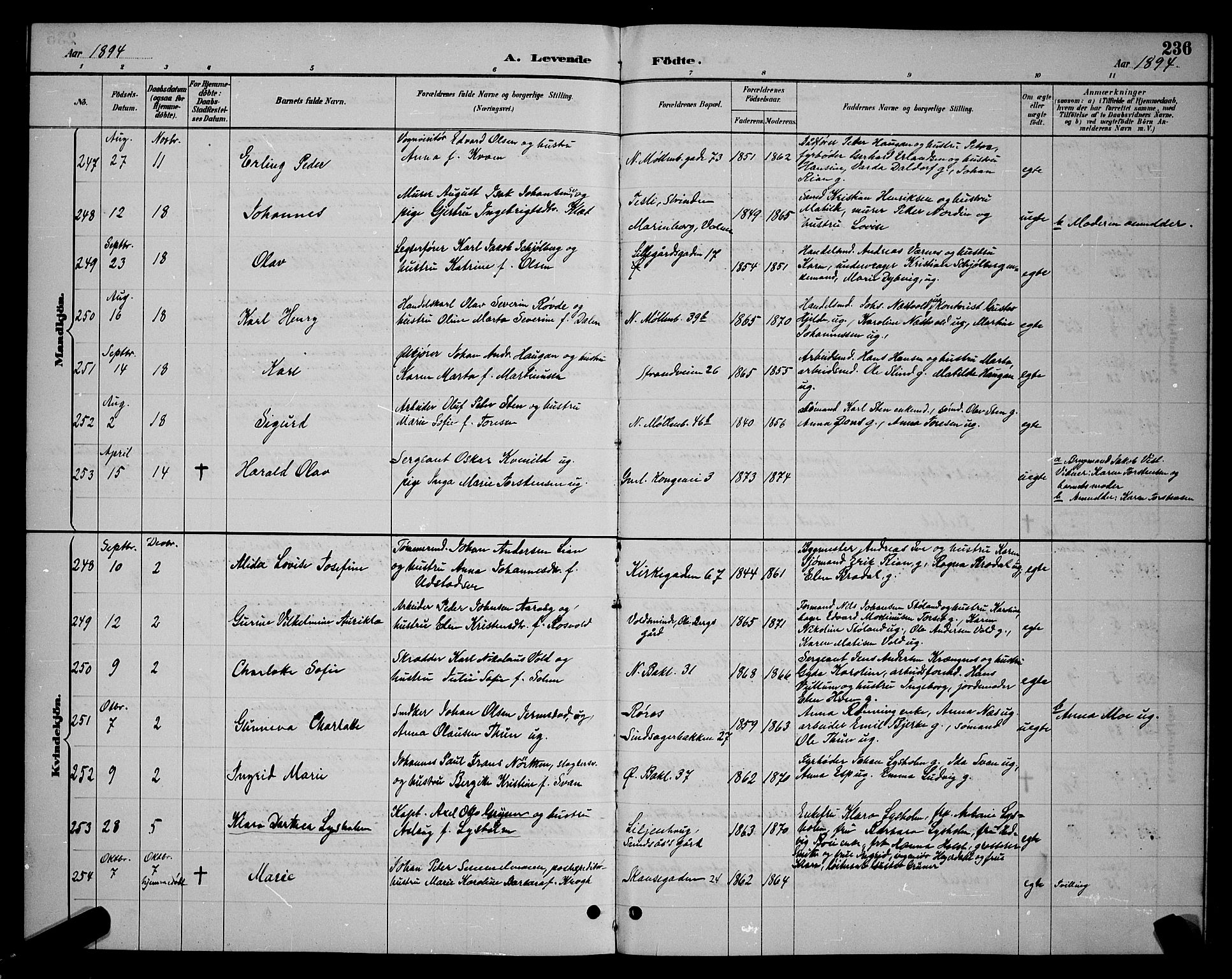 Ministerialprotokoller, klokkerbøker og fødselsregistre - Sør-Trøndelag, SAT/A-1456/604/L0222: Klokkerbok nr. 604C05, 1886-1895, s. 236