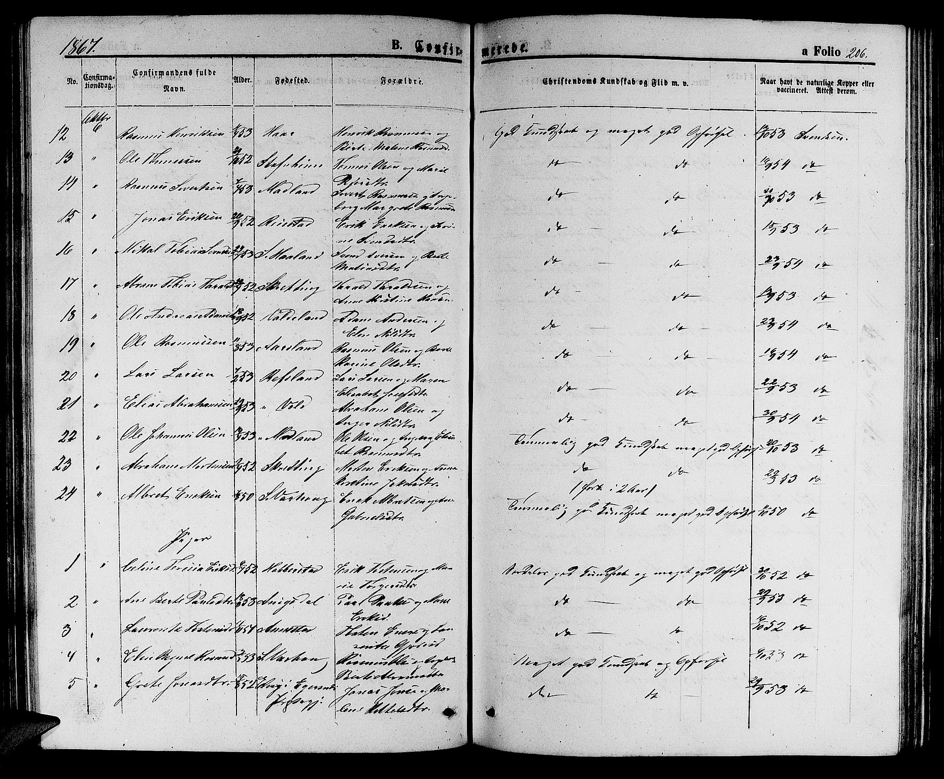 Hå sokneprestkontor, AV/SAST-A-101801/001/30BB/L0002: Klokkerbok nr. B 2, 1854-1883, s. 206