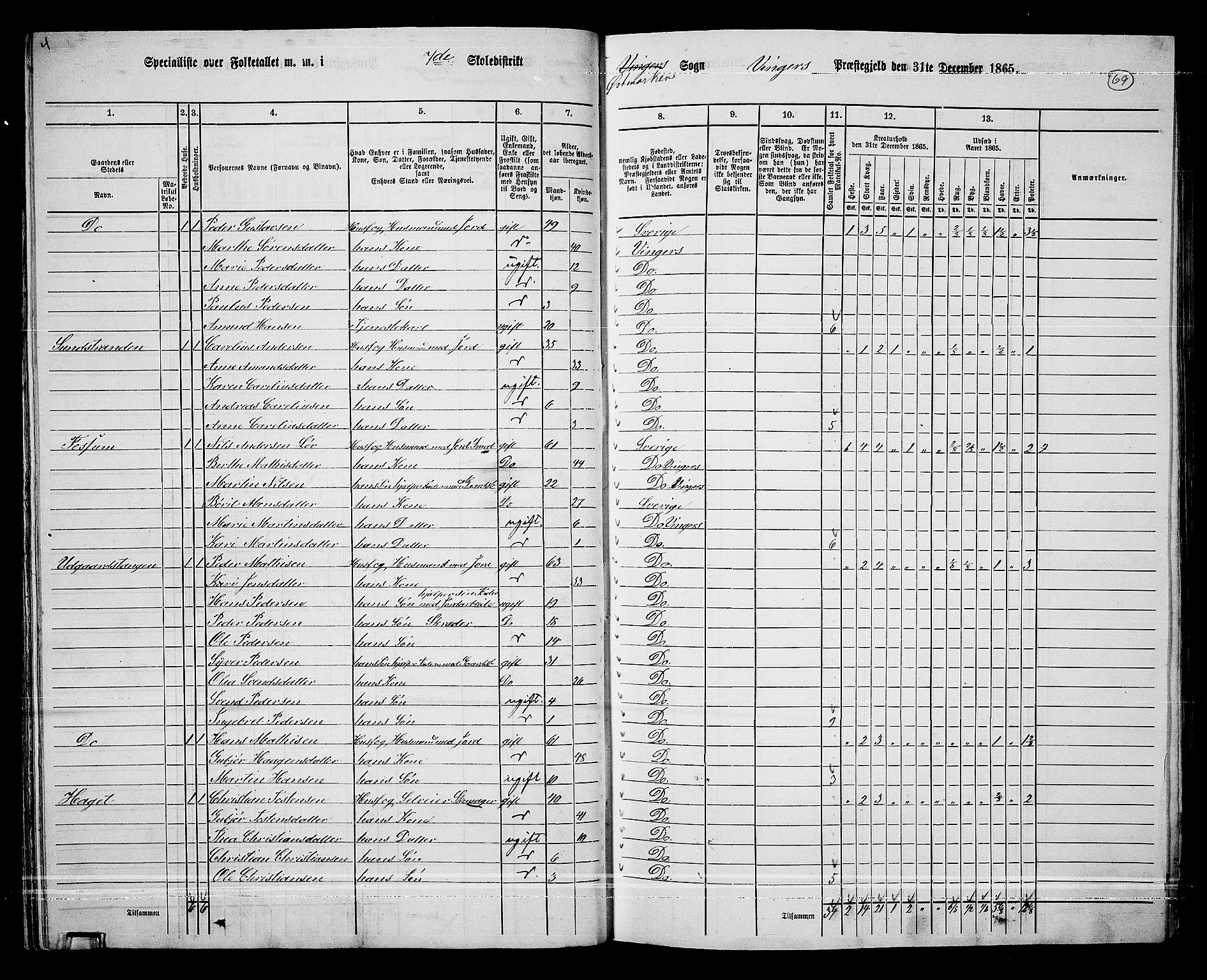 RA, Folketelling 1865 for 0421L Vinger prestegjeld, Vinger sokn og Austmarka sokn, 1865, s. 66