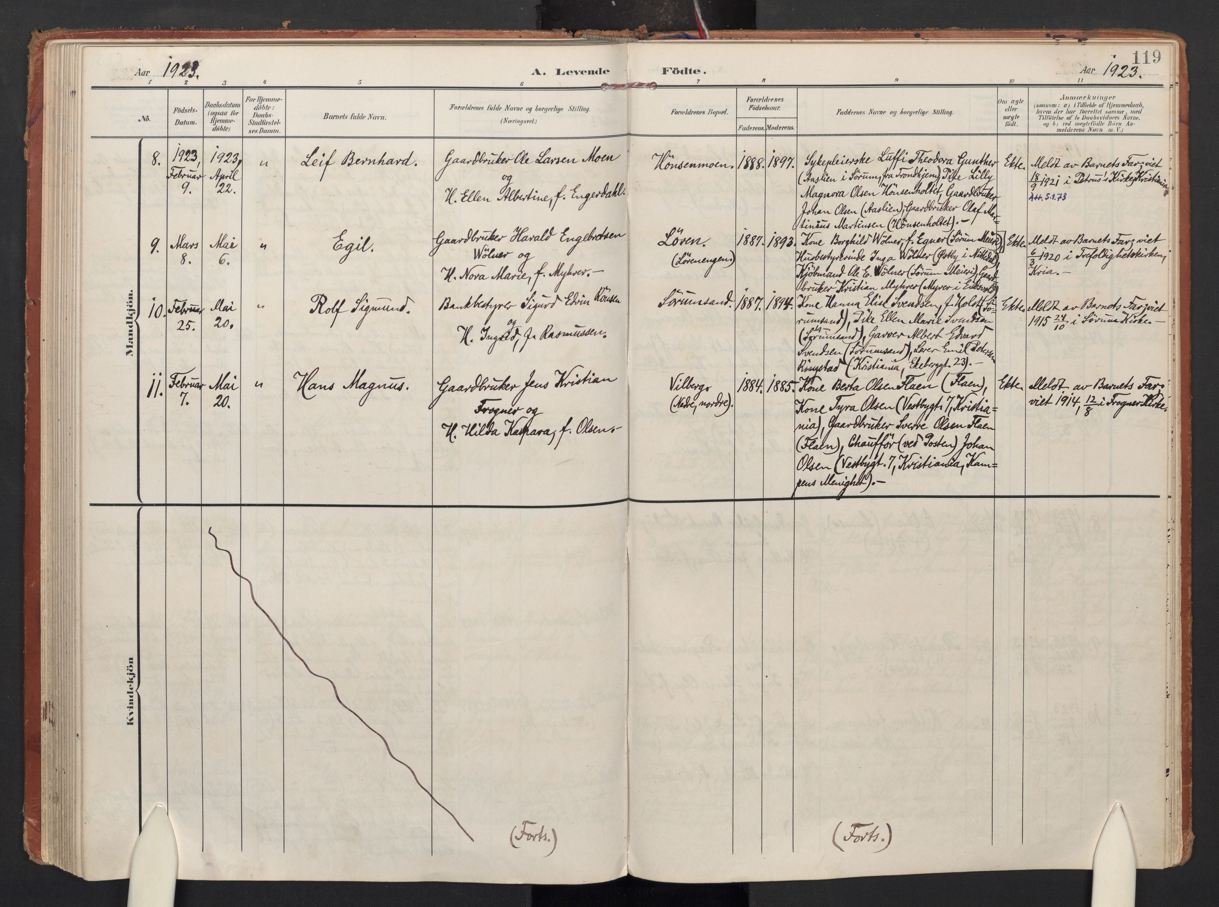 Sørum prestekontor Kirkebøker, AV/SAO-A-10303/F/Fa/L0010: Ministerialbok nr. I 10, 1907-1925, s. 119