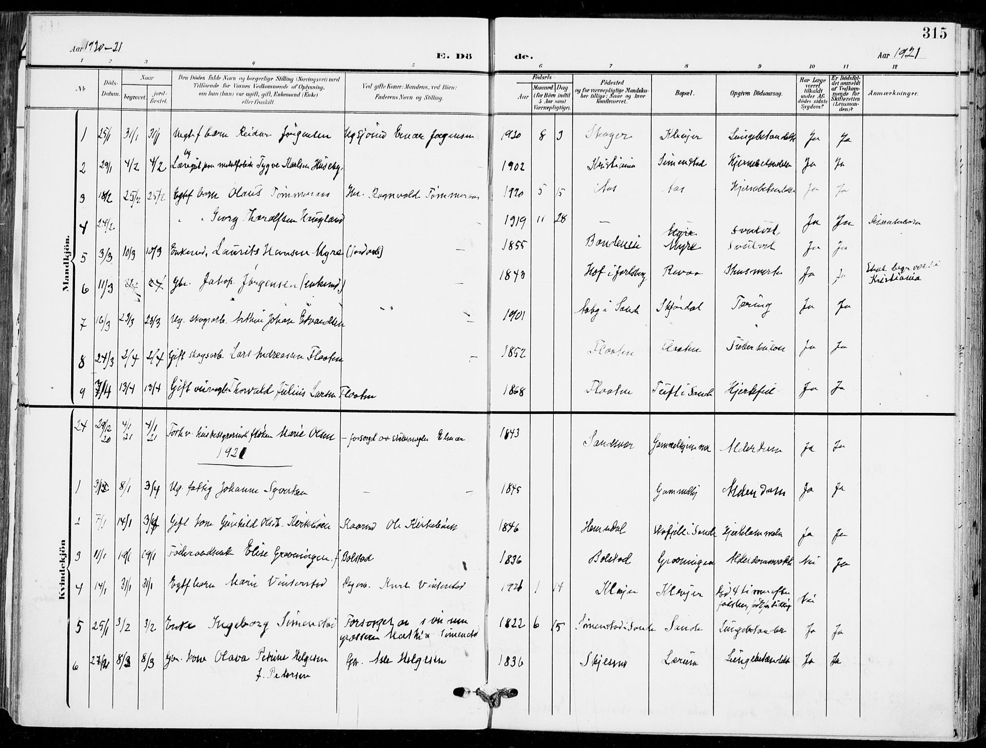 Sande Kirkebøker, AV/SAKO-A-53/F/Fa/L0008: Ministerialbok nr. 8, 1904-1921, s. 315