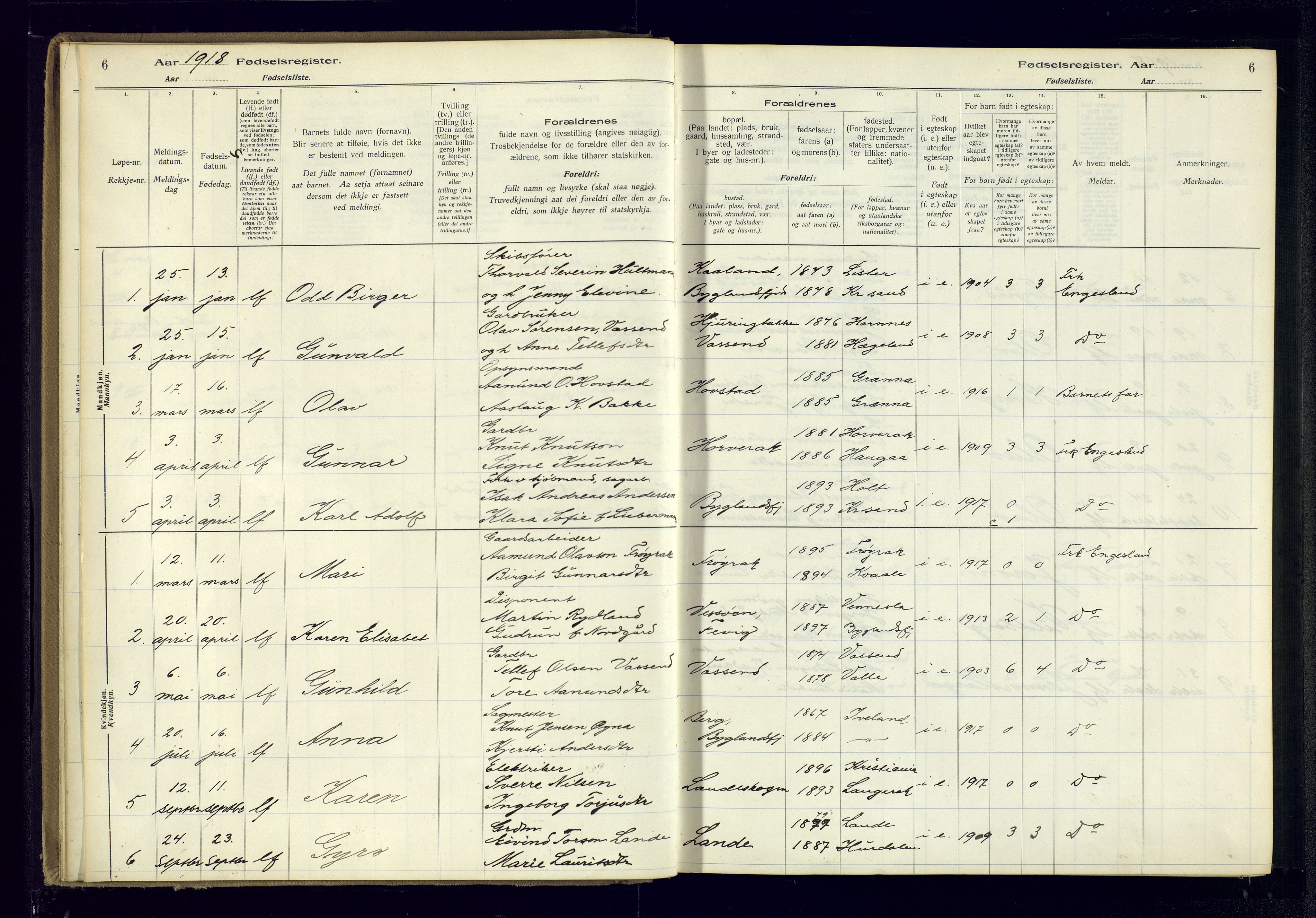 Bygland sokneprestkontor, AV/SAK-1111-0006/J/Ja/L0004: Fødselsregister nr. II.4.5, 1916-1983, s. 6