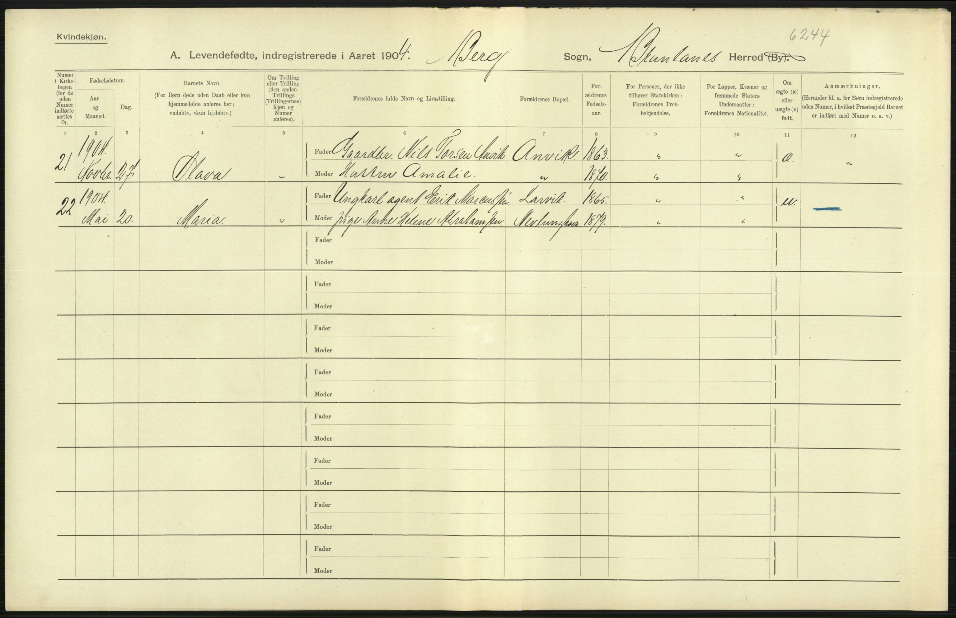 Statistisk sentralbyrå, Sosiodemografiske emner, Befolkning, AV/RA-S-2228/D/Df/Dfa/Dfab/L0008: Jarlsberg og Larvig amt: Fødte, gifte, døde, 1904, s. 51