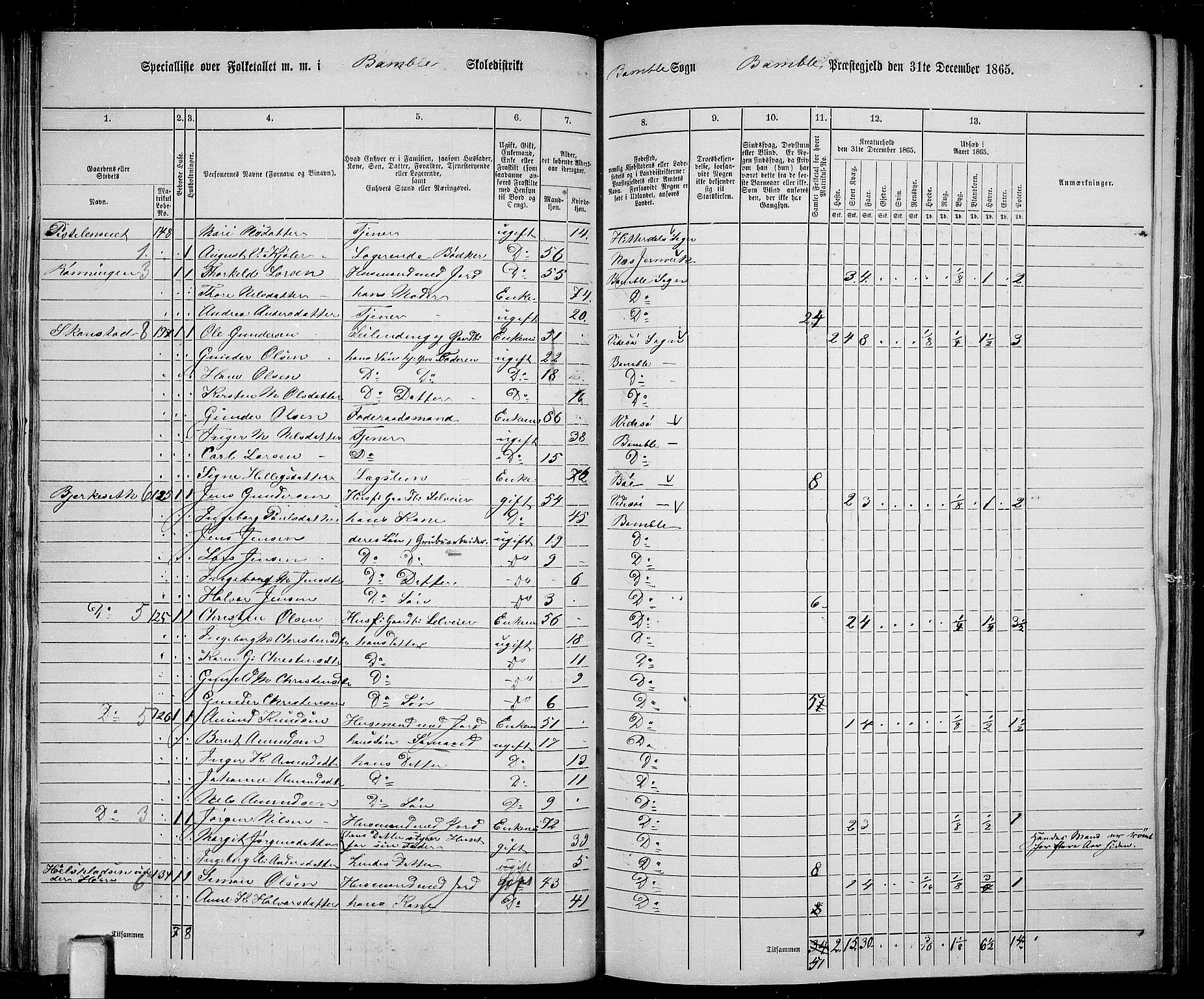 RA, Folketelling 1865 for 0814P Bamble prestegjeld, 1865, s. 80