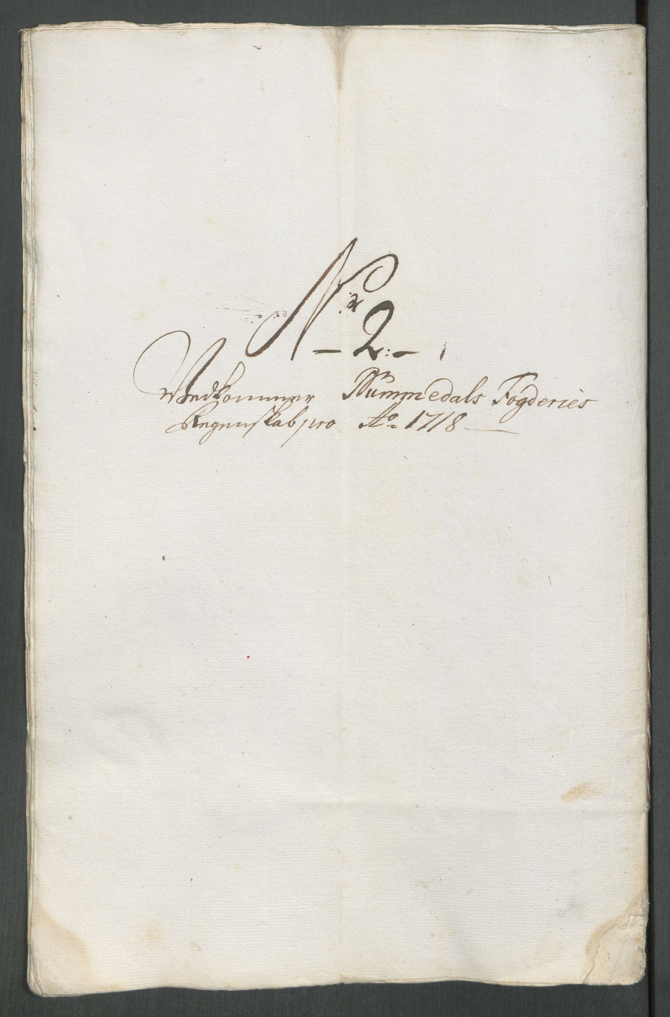 Rentekammeret inntil 1814, Reviderte regnskaper, Fogderegnskap, AV/RA-EA-4092/R64/L4439: Fogderegnskap Namdal, 1718, s. 100