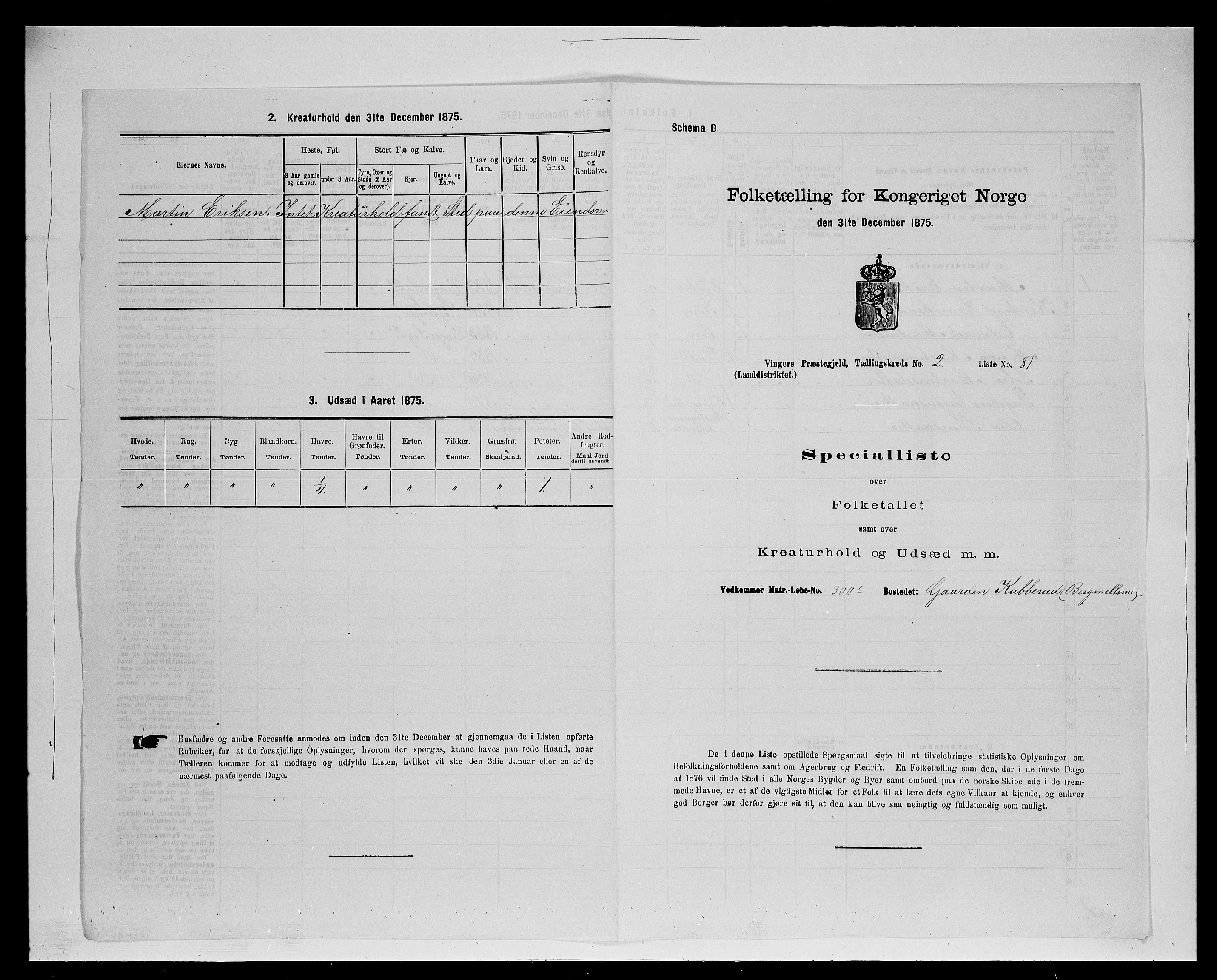 SAH, Folketelling 1875 for 0421L Vinger prestegjeld, Vinger sokn og Austmarka sokn, 1875, s. 382