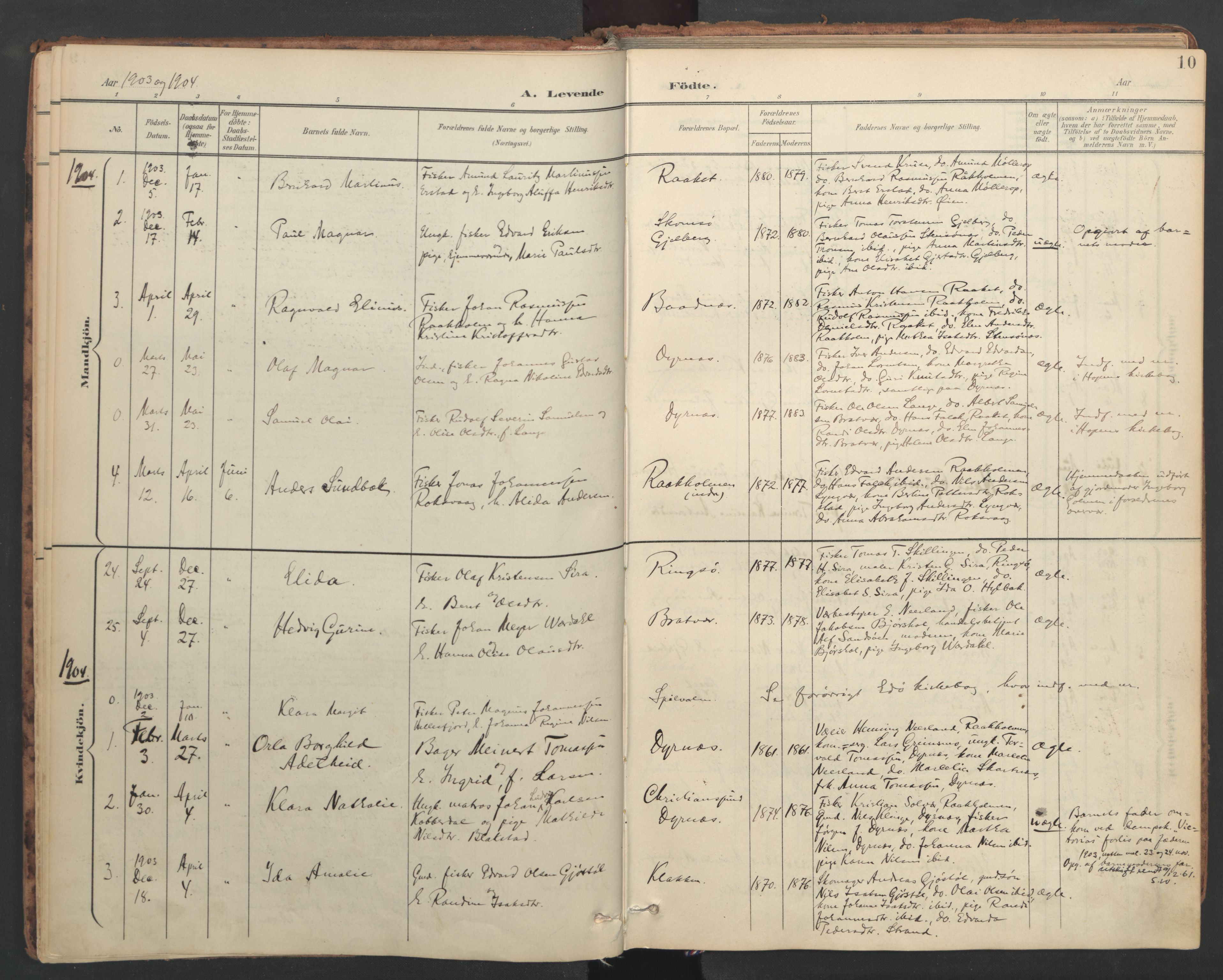 Ministerialprotokoller, klokkerbøker og fødselsregistre - Møre og Romsdal, AV/SAT-A-1454/582/L0948: Ministerialbok nr. 582A02, 1901-1922, s. 10