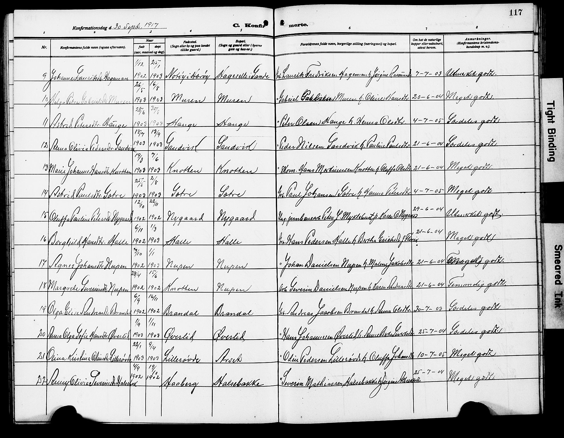 Ministerialprotokoller, klokkerbøker og fødselsregistre - Møre og Romsdal, AV/SAT-A-1454/503/L0050: Klokkerbok nr. 503C05, 1909-1922, s. 117