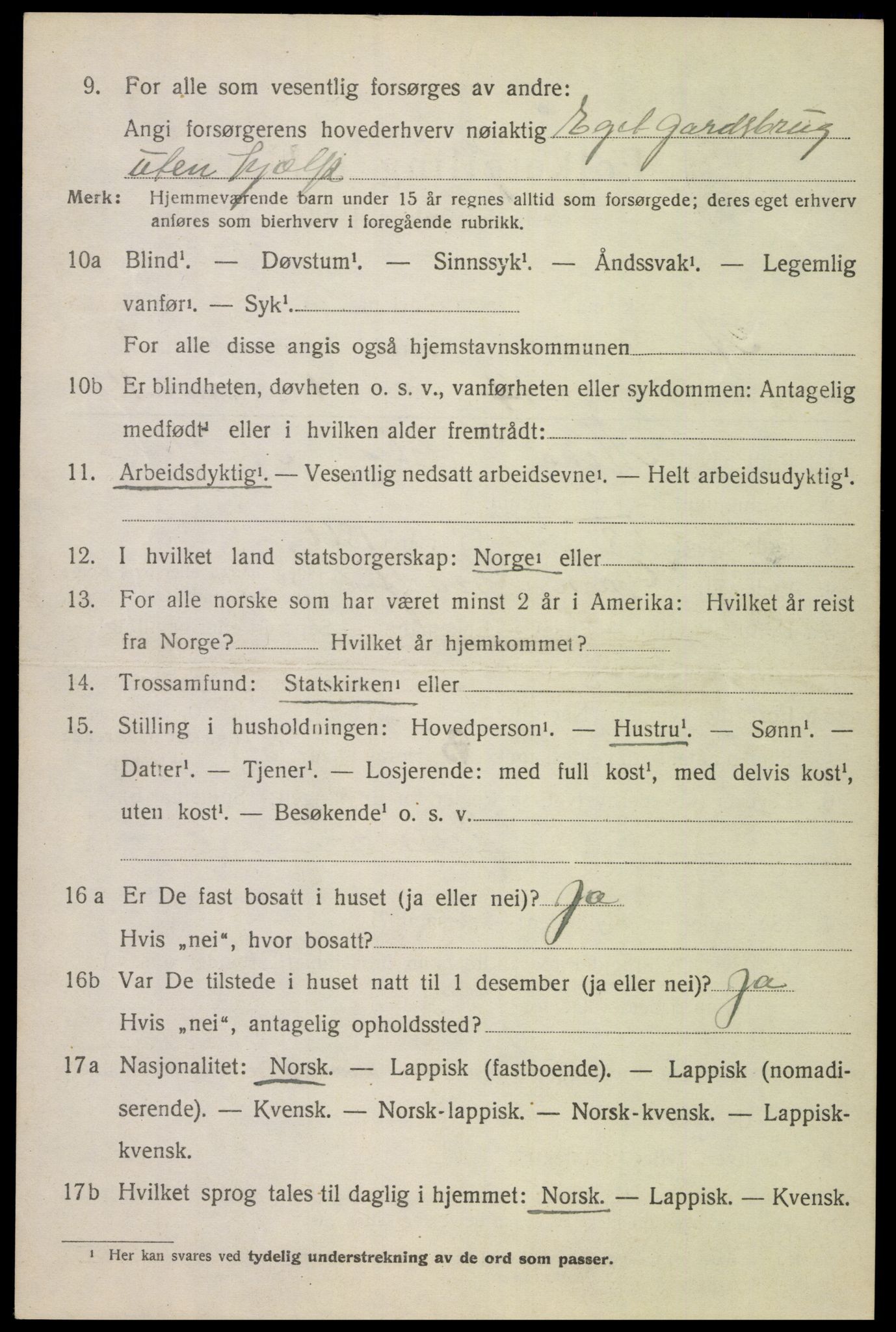 SAT, Folketelling 1920 for 1855 Ankenes herred, 1920, s. 1384