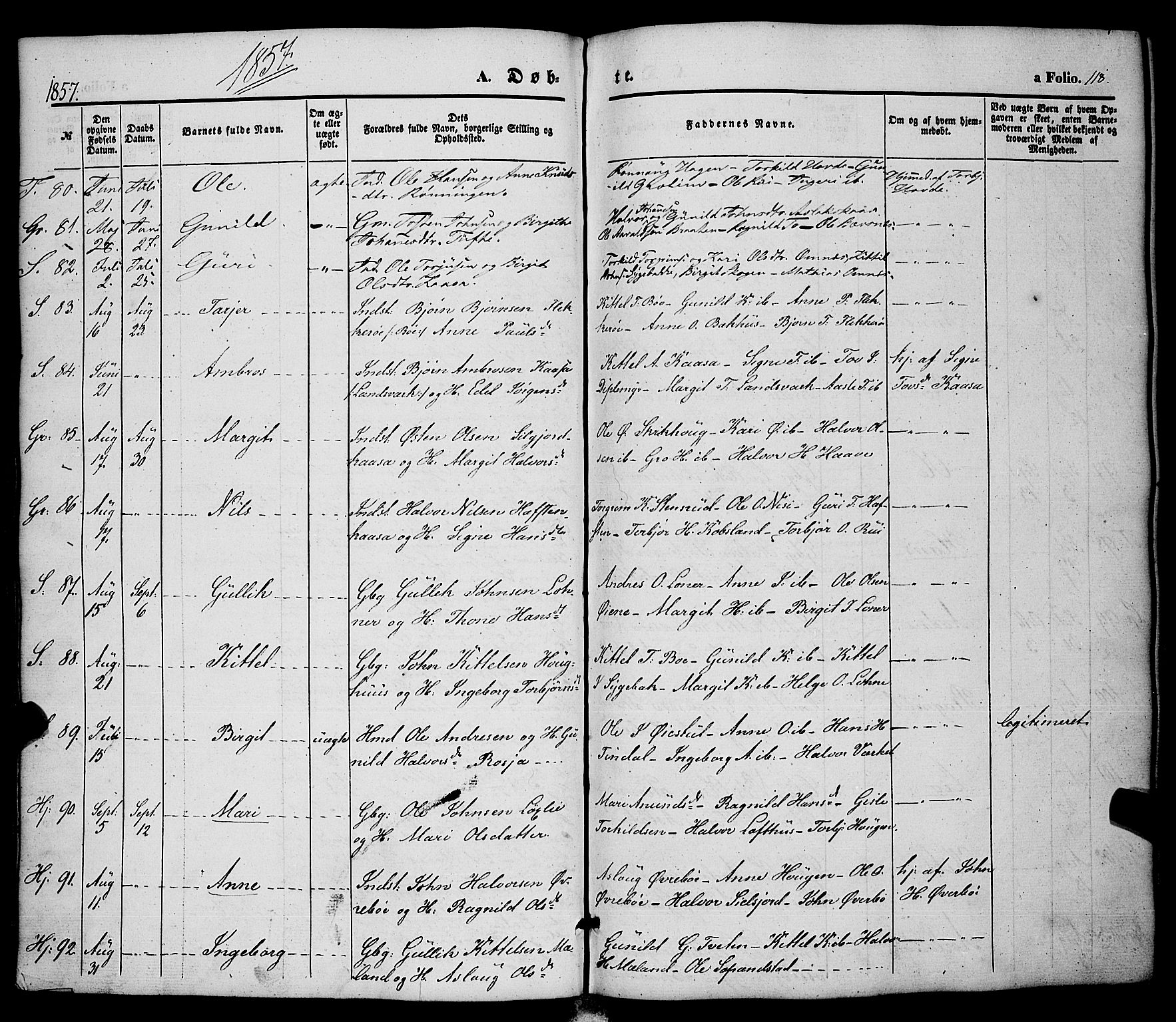 Hjartdal kirkebøker, AV/SAKO-A-270/F/Fa/L0008: Ministerialbok nr. I 8, 1844-1859, s. 118