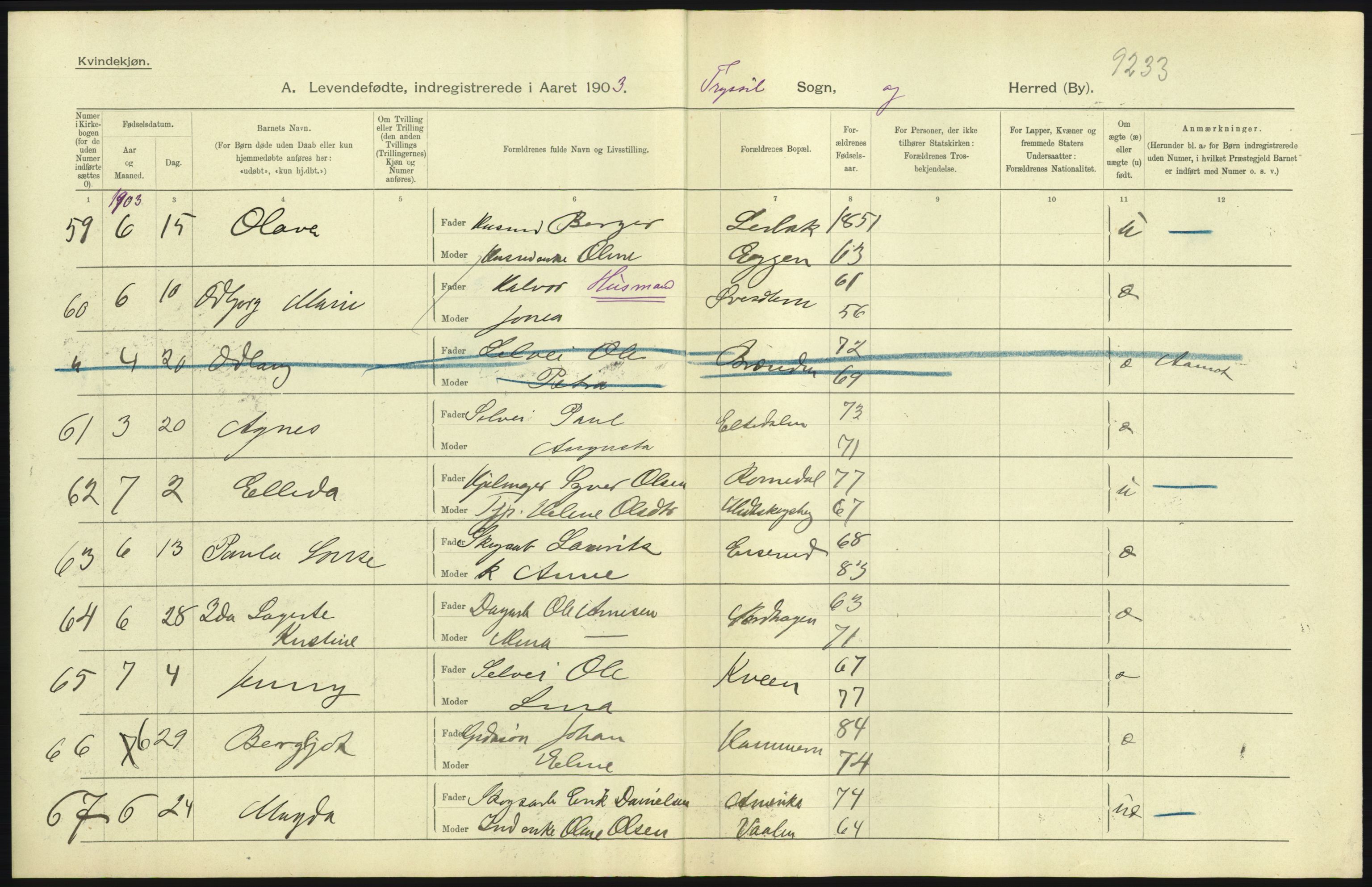 Statistisk sentralbyrå, Sosiodemografiske emner, Befolkning, AV/RA-S-2228/D/Df/Dfa/Dfaa/L0005: Hedemarkens amt: Fødte, gifte, døde, 1903, s. 11