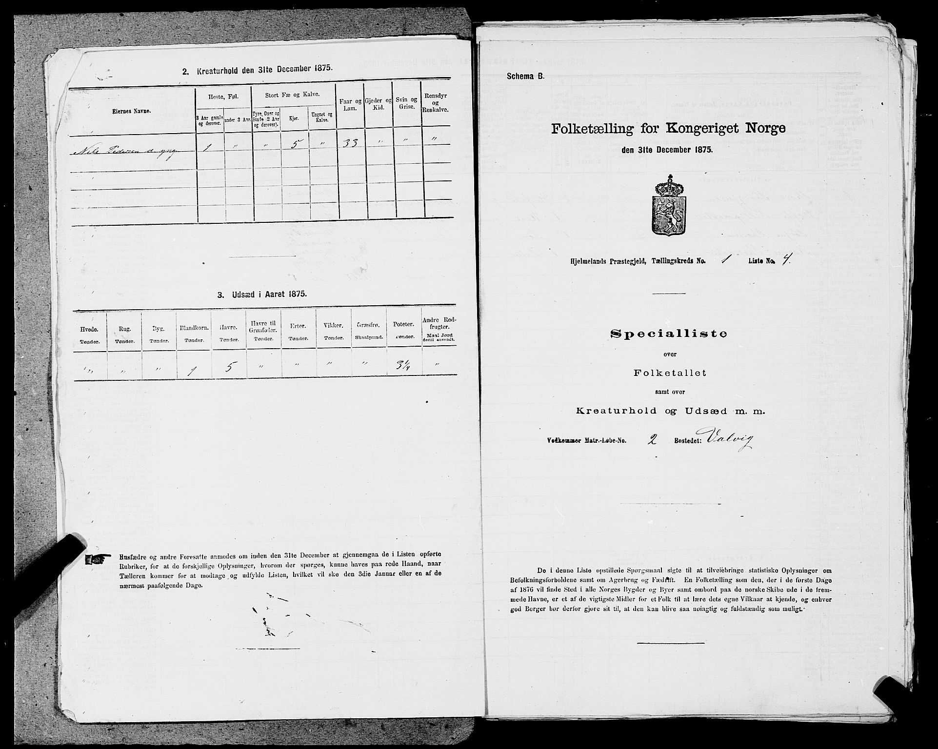 SAST, Folketelling 1875 for 1133P Hjelmeland prestegjeld, 1875, s. 75