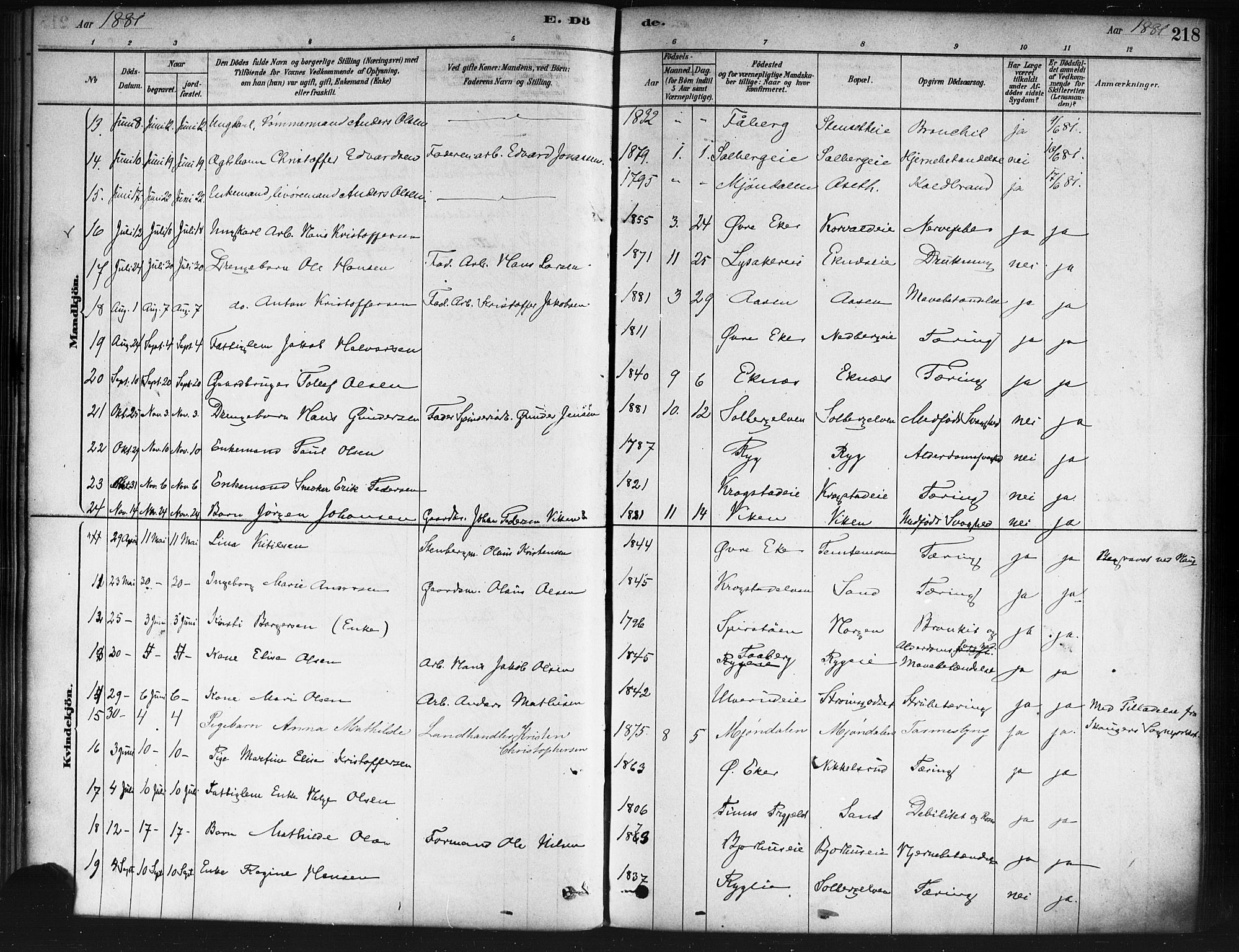 Nedre Eiker kirkebøker, AV/SAKO-A-612/F/Fa/L0002: Ministerialbok nr. 2, 1878-1885, s. 218