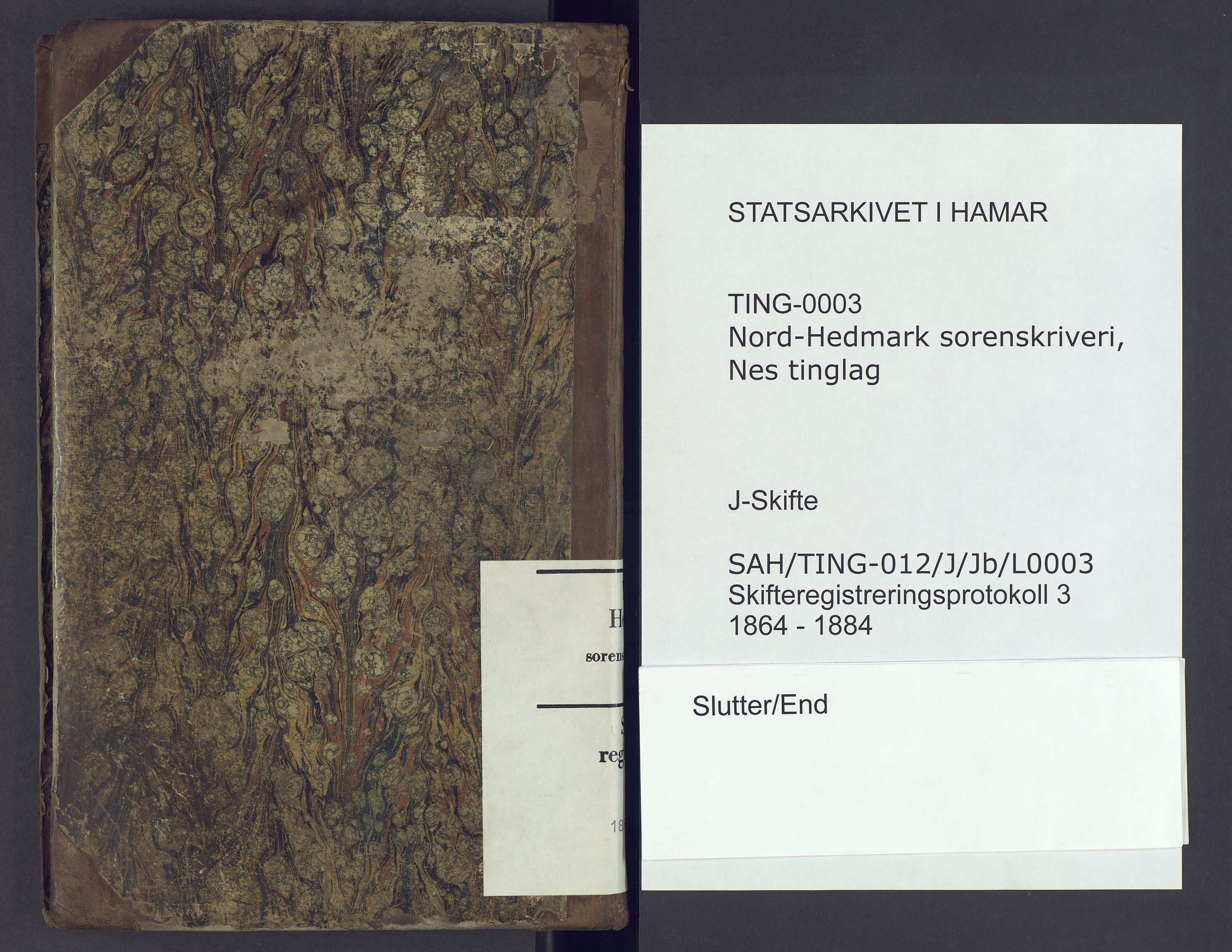 Nord-Hedmark sorenskriveri, AV/SAH-TING-012/J/Jb/L0003: Skifteregistreringsprotokoll - Nes, 1864-1884